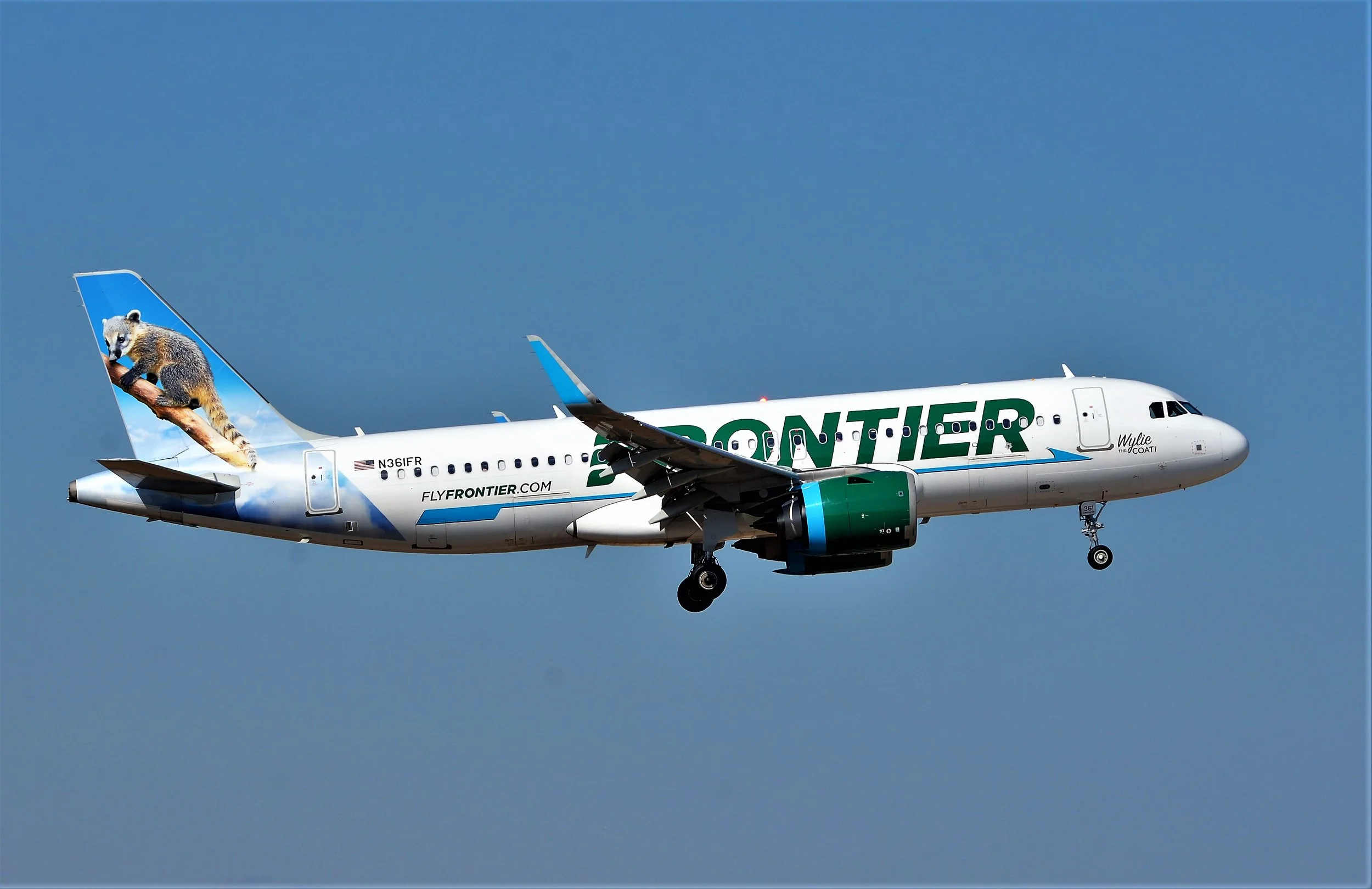 N36IFR WYLIE COATI A320 ORD 10C