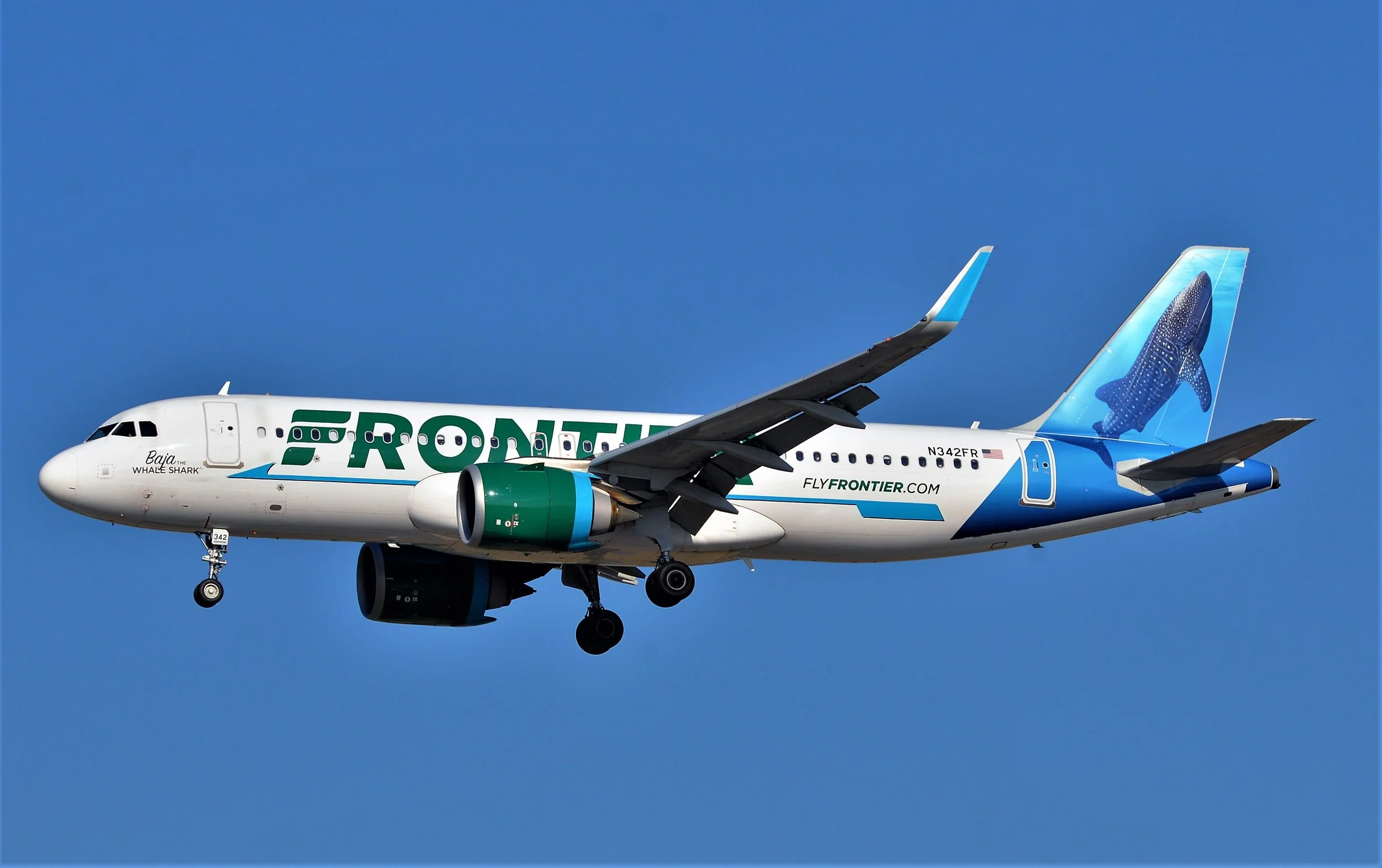N343FR A320 BAJA WHALE SHARK ORD 28C