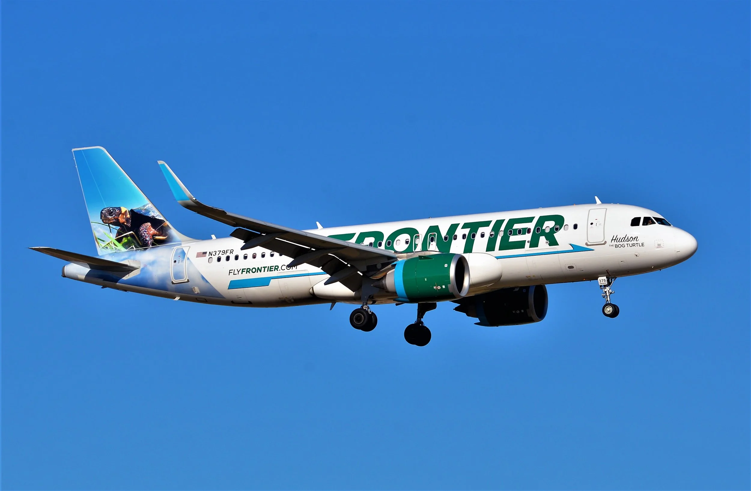 N379FR A320 HUDSON BOG TURTLE ORD 10C