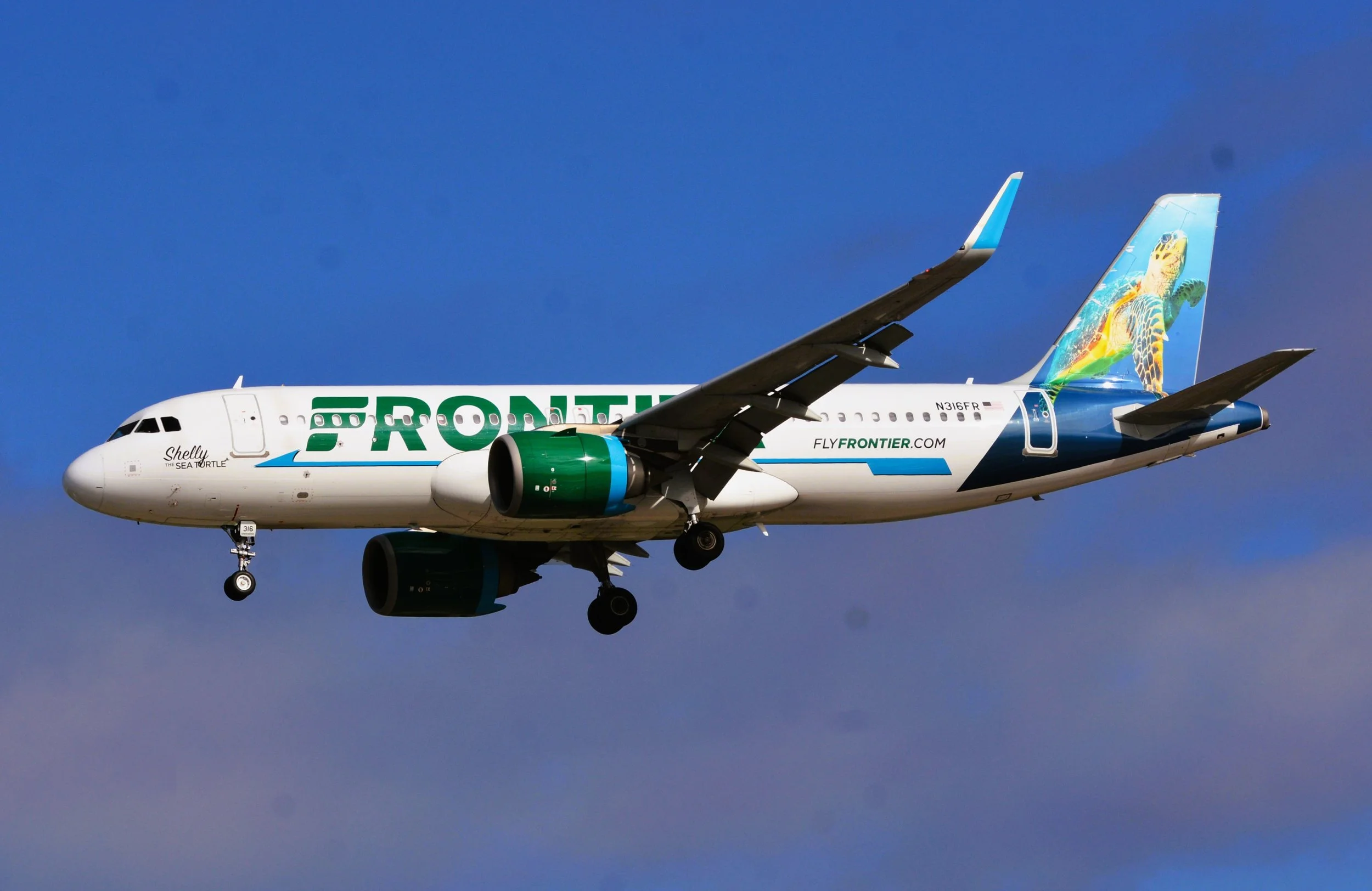 N316FR A320 SHELLY SEA TURTLE ORD 28C
