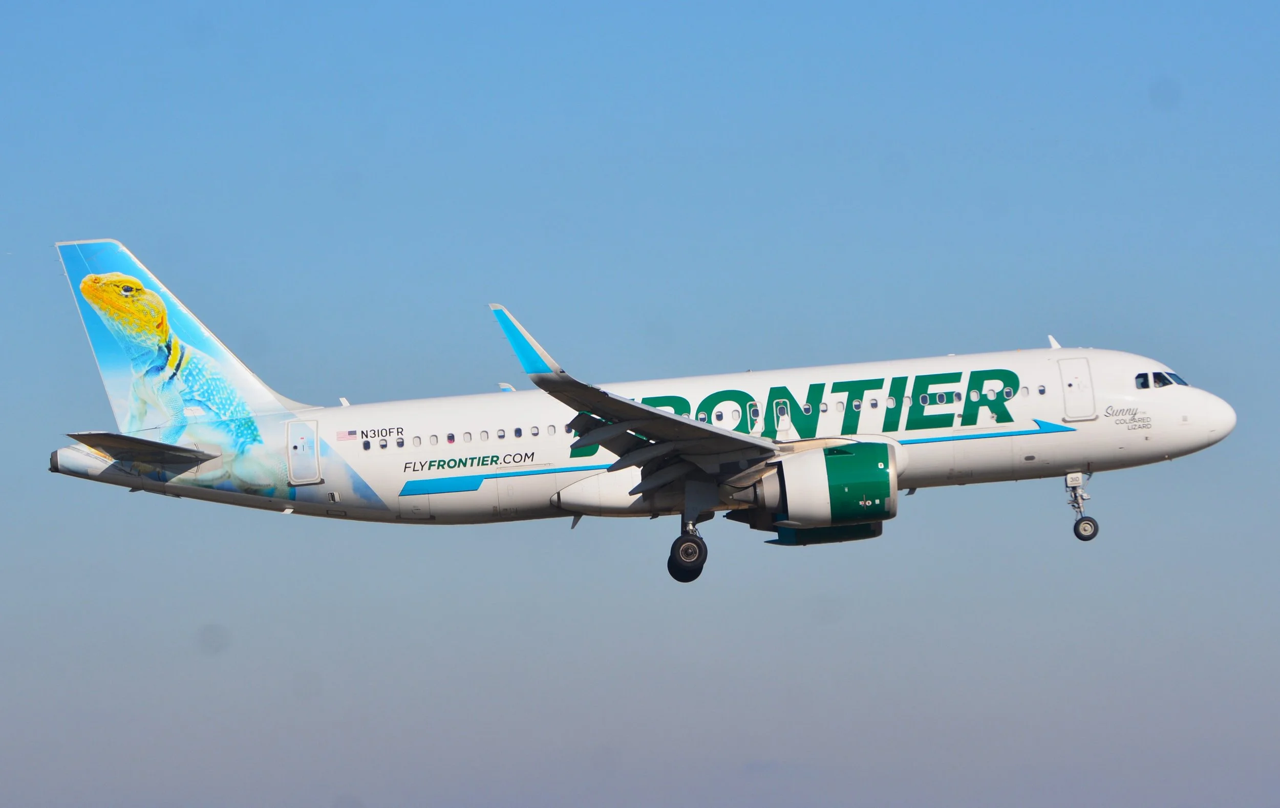 N310FR A320 SUNNY COLLARD LIZARD ORD 10C