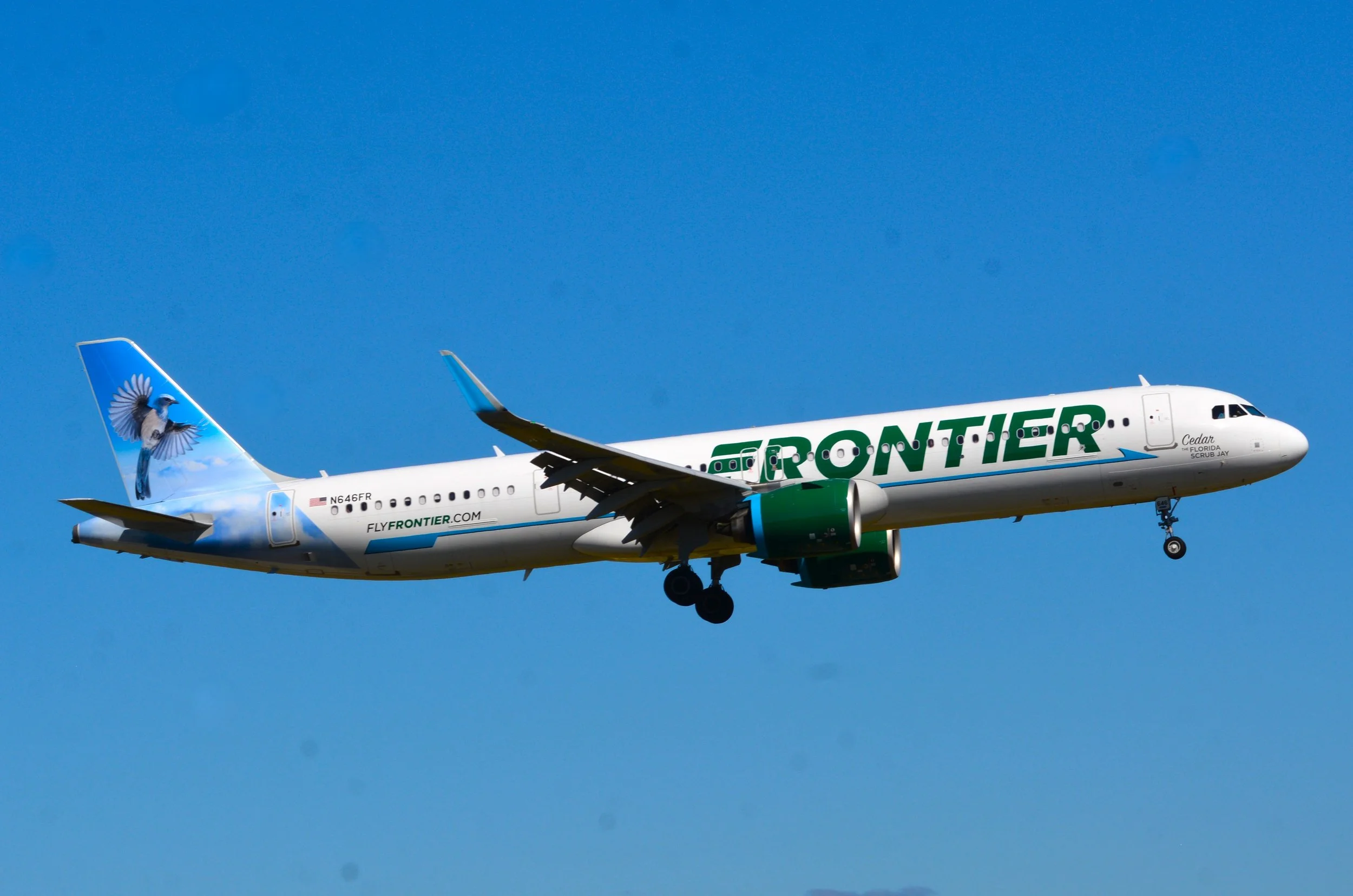 N646FR A321 CEDAR FLORIDA SCRUB JAY ORD 10C