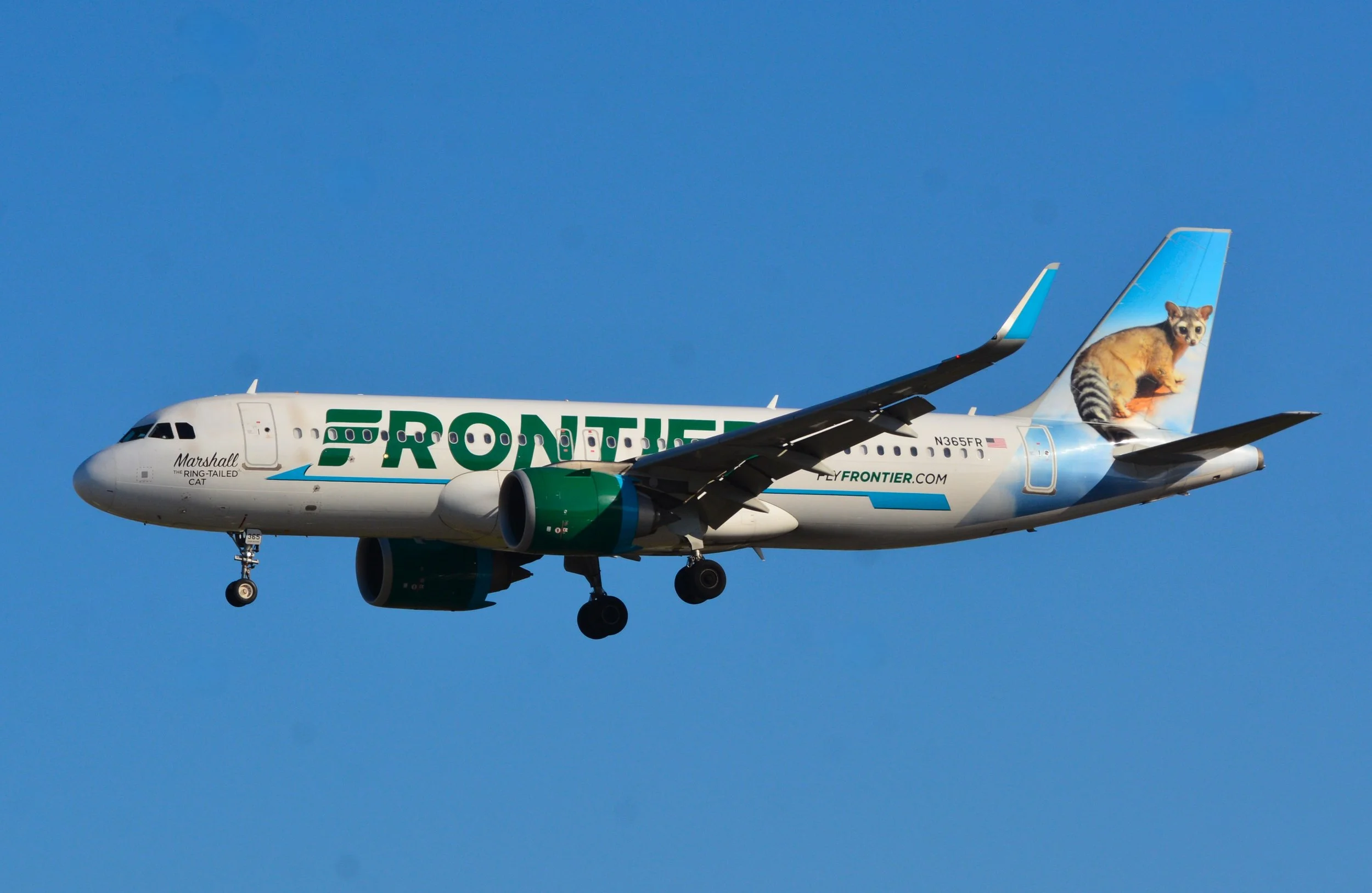 N365FR A320 MARSHALL RING TAIL CAT ORD 28C