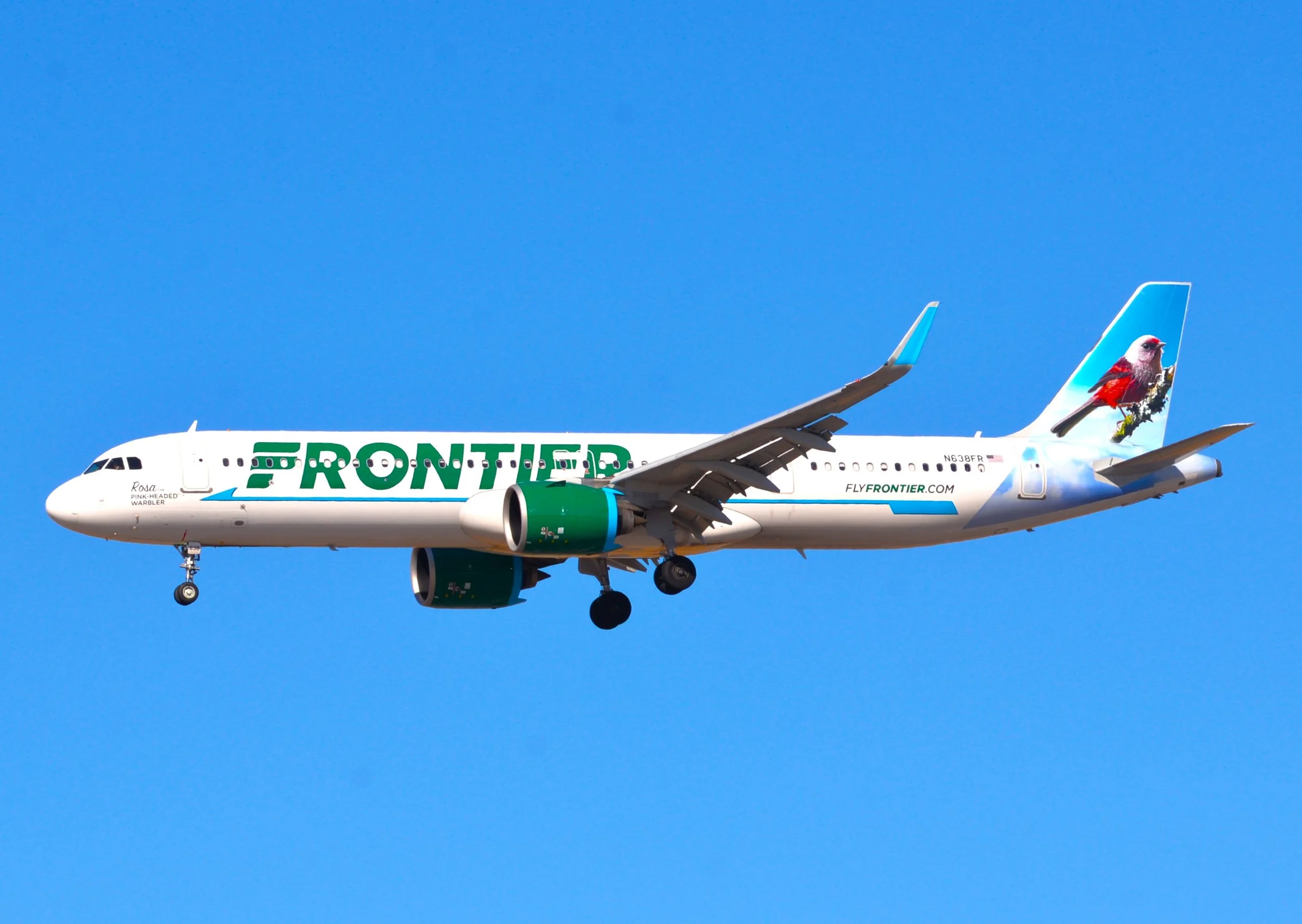 N638FR A321 ROSA PINK HEADED WARLBER ORD 28C