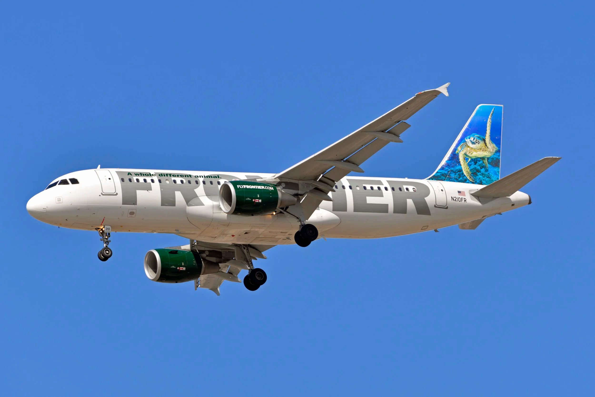 N210FR ORD 27L SEA TURTLE