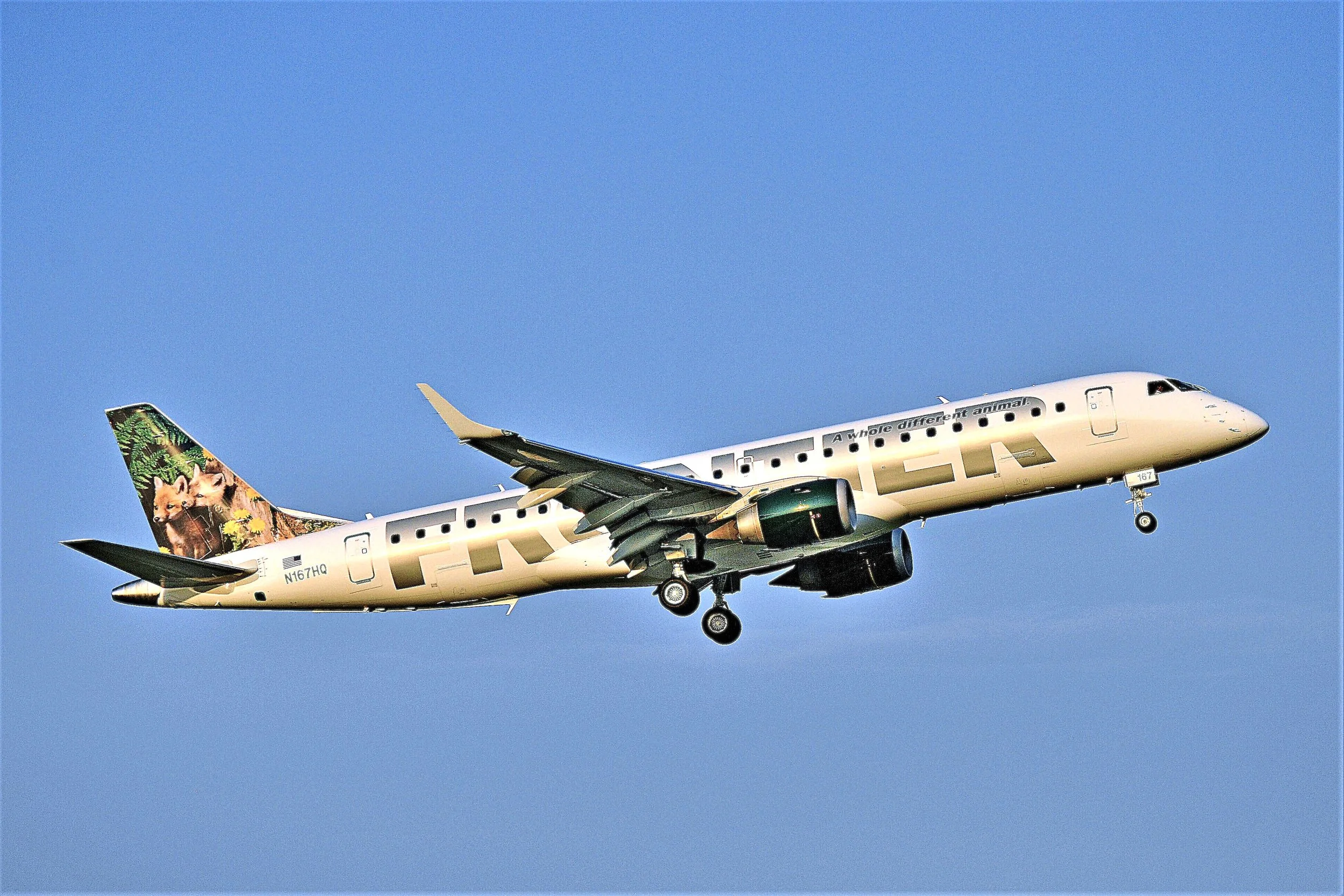 N167HQ EMB190 BABY FOXES MKE