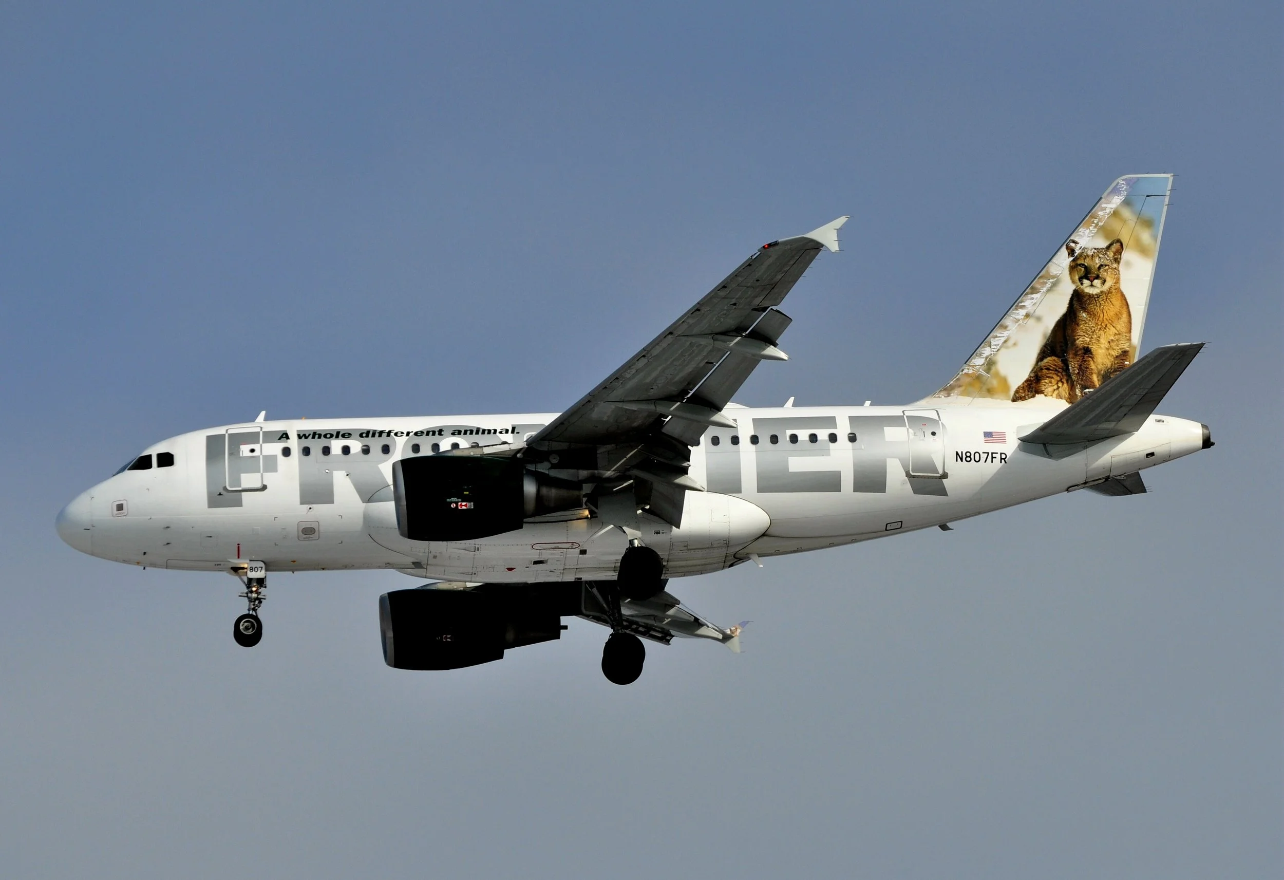 N807FR A319 MOUNTAIN LION MDW 31C