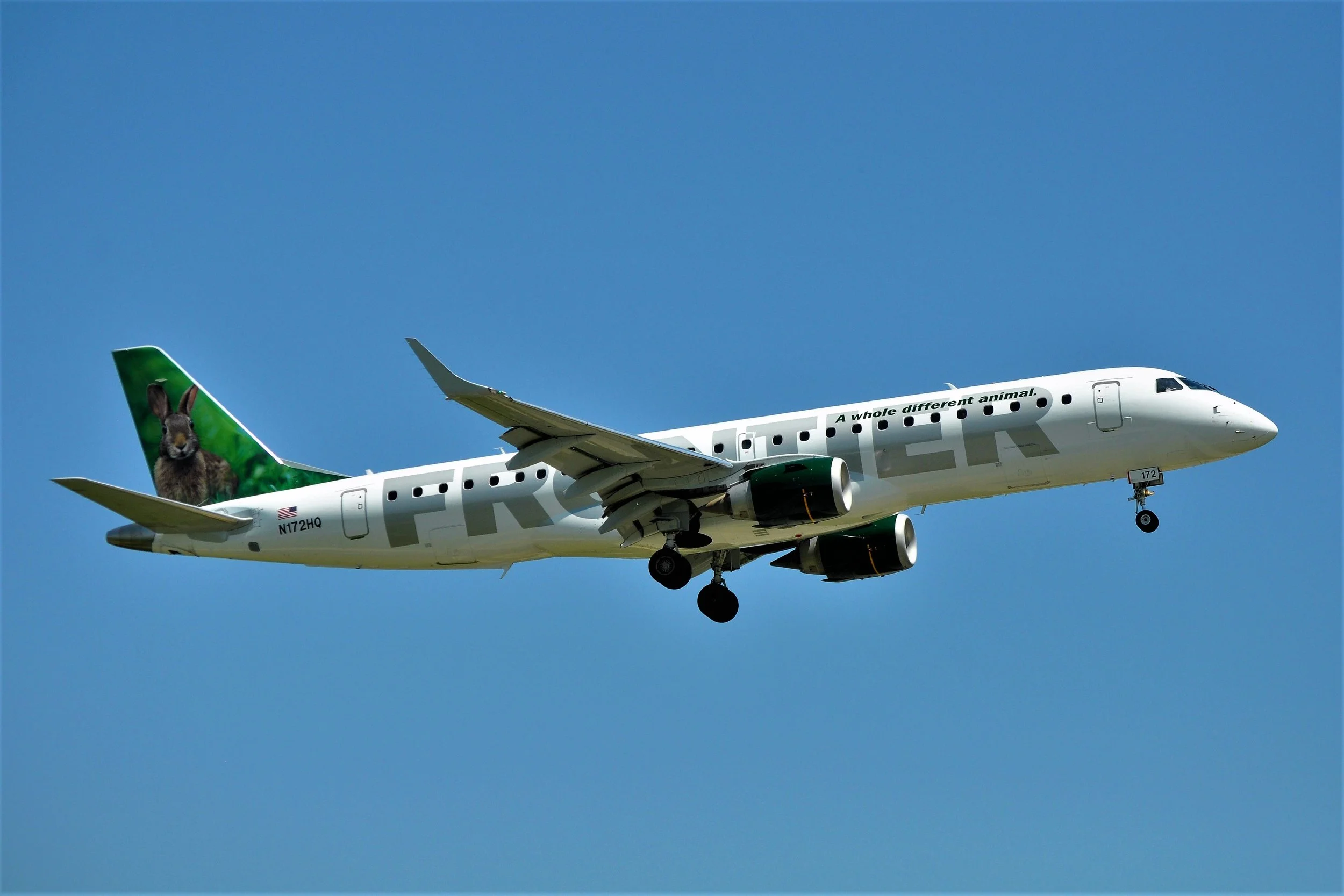 N172HQ EMB190 BUNNY MKE