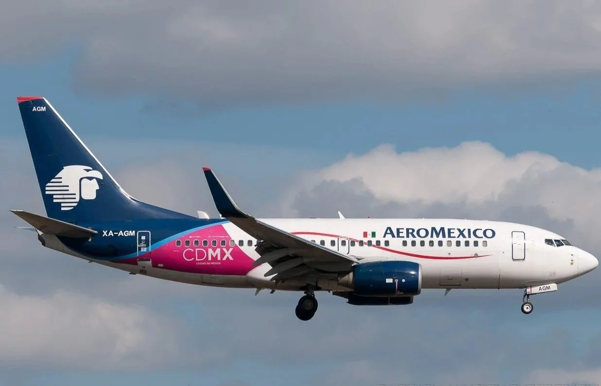 XA-MAH B737 AEROMEXICO CDMX PINK ORD 10C