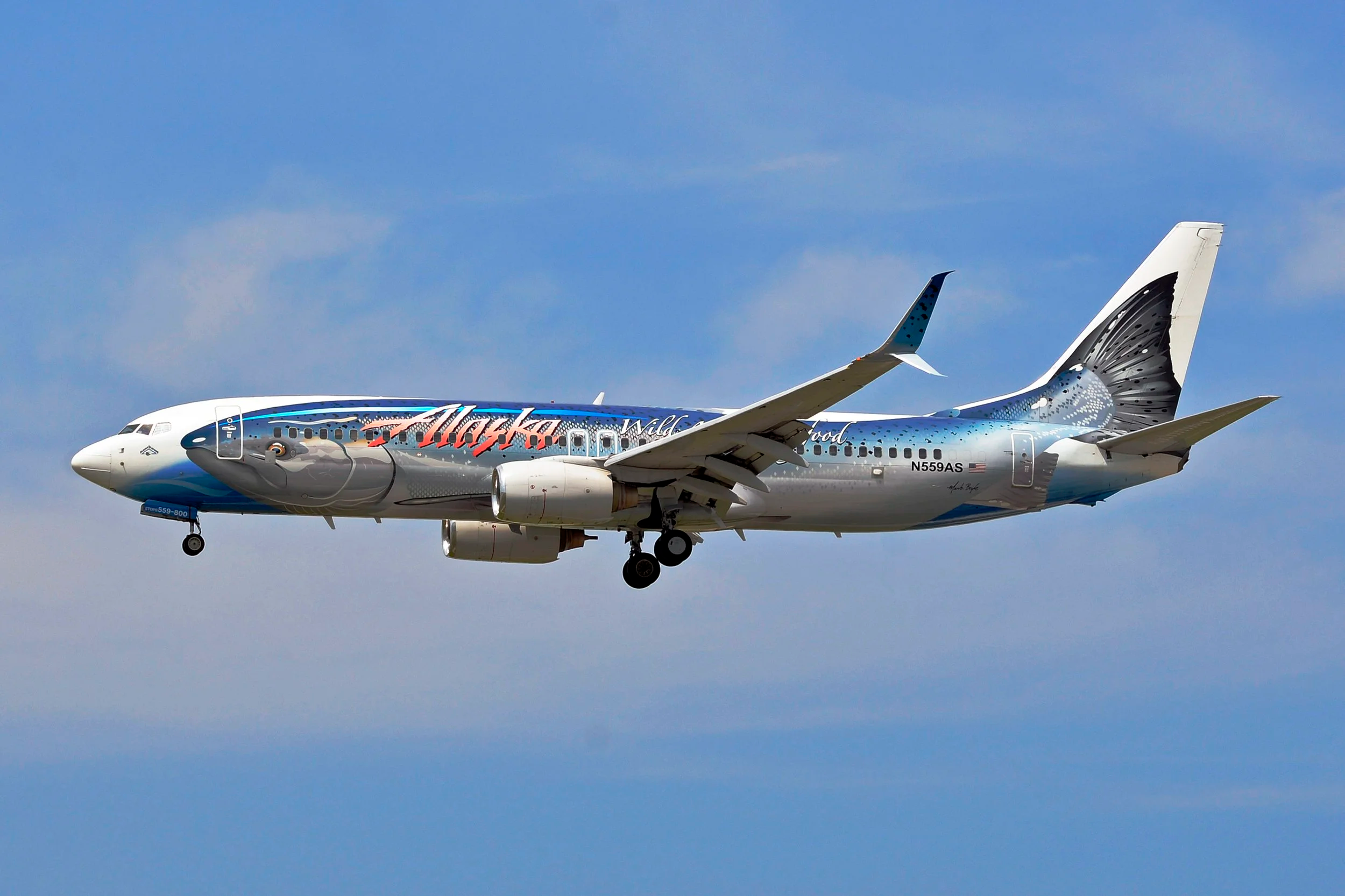 N559AS B737 ALASKA AIRLINES SALMON COLORS ORD 28C