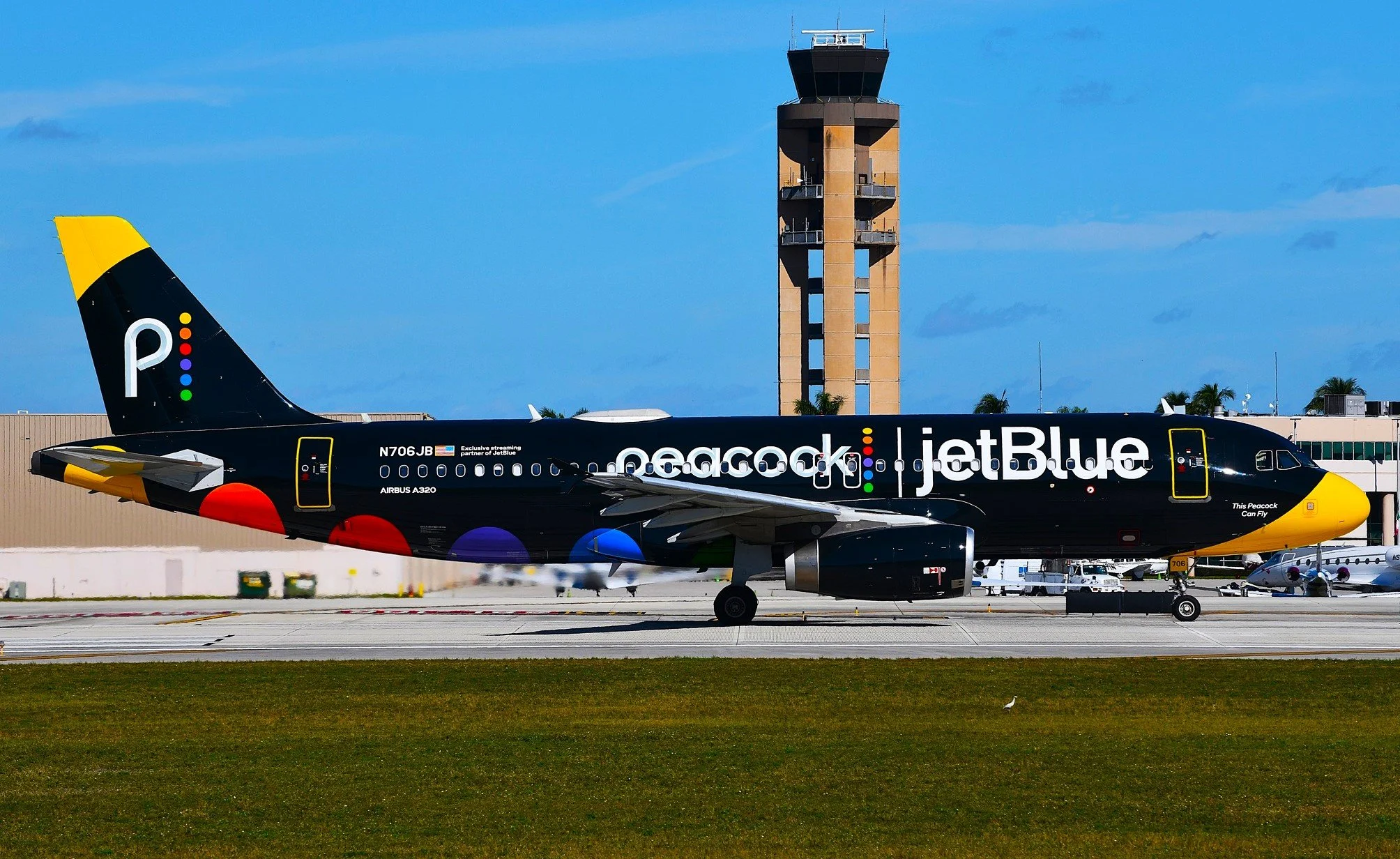 steve 980.jpg