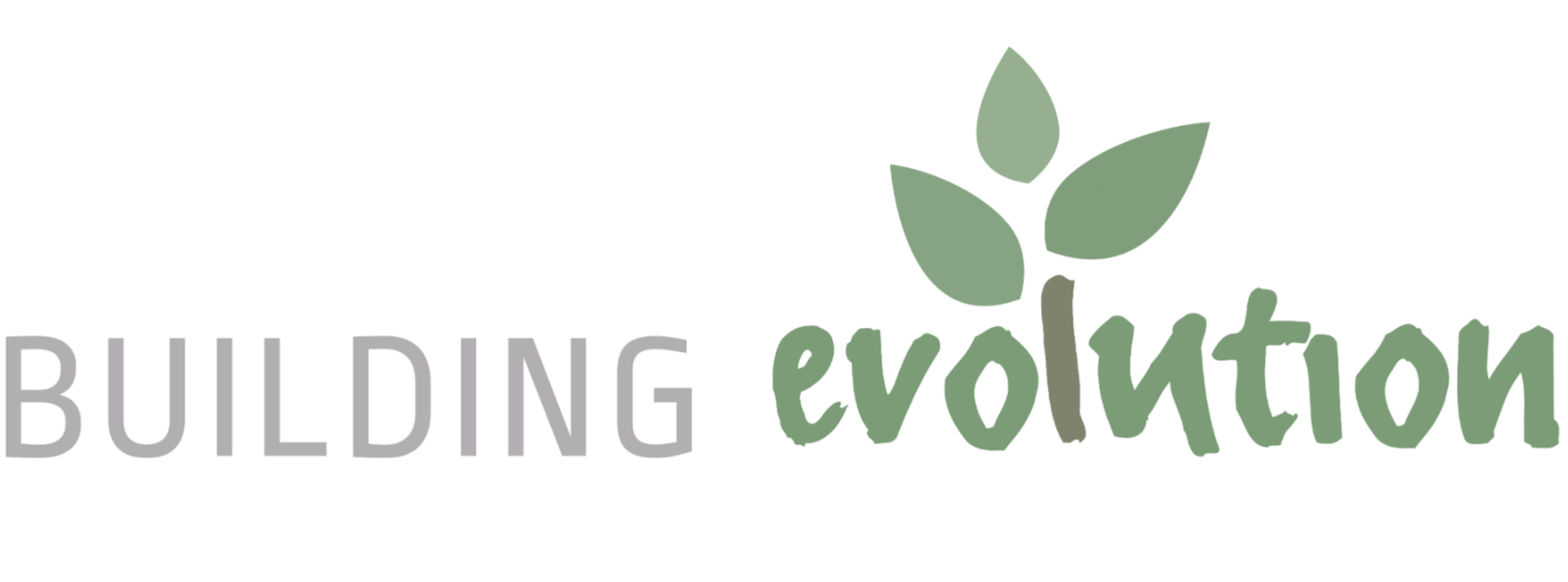 Building Evolution