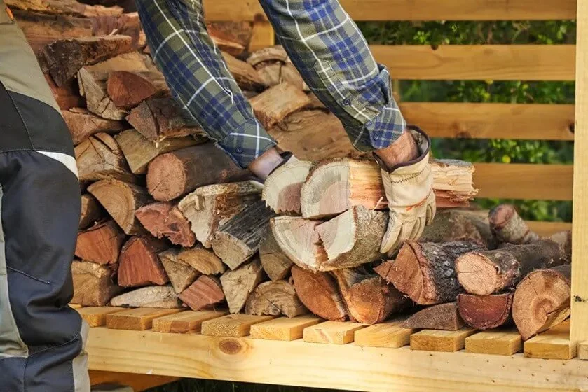 Fire wood  in a Sack