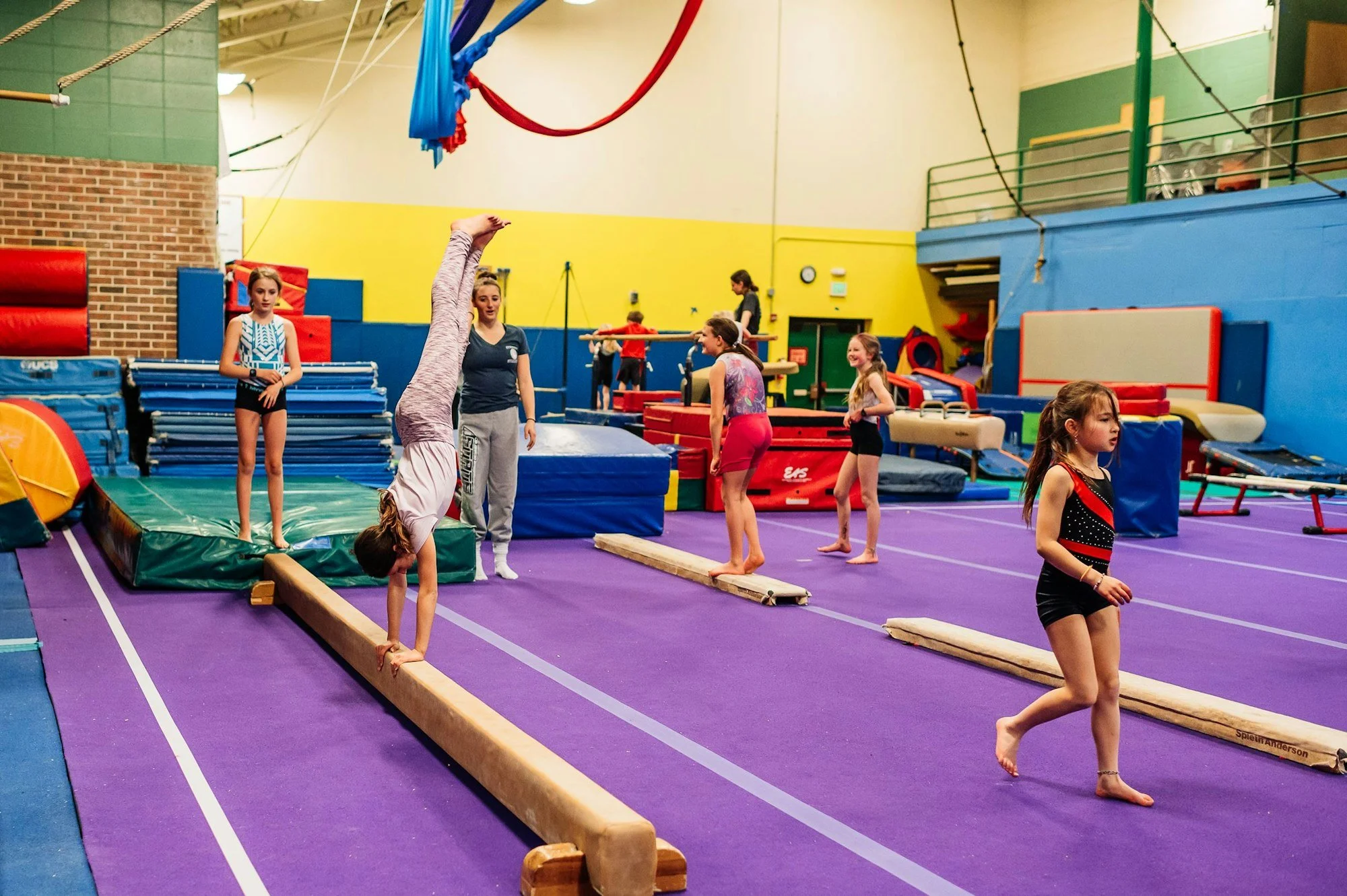 TERM 1 Gymnastics