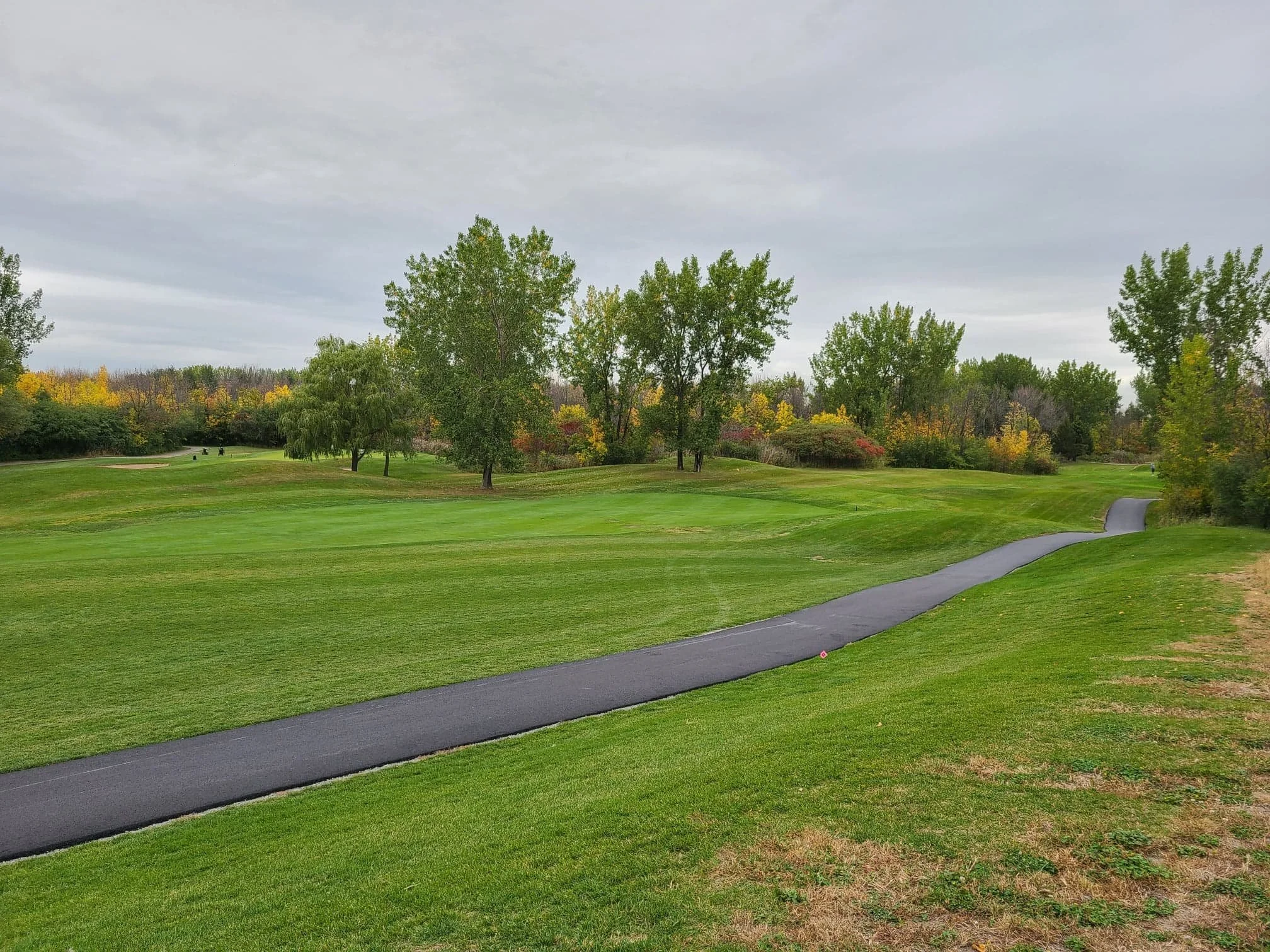 pavage chemins golf.jpg