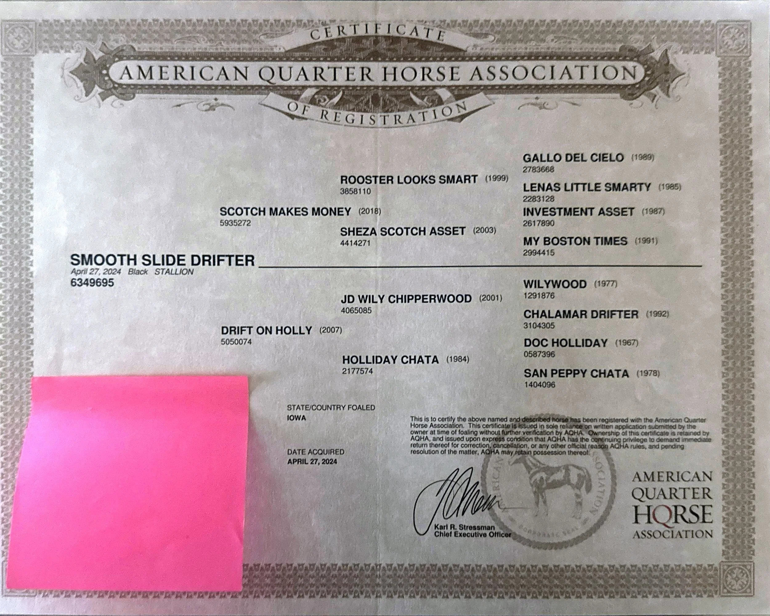 Certificate from the American Quarter Horse Association confirming the registration of a black stallion named Smooth Slide Drifter, born April 27, 2024, with various affiliated information and signatures.