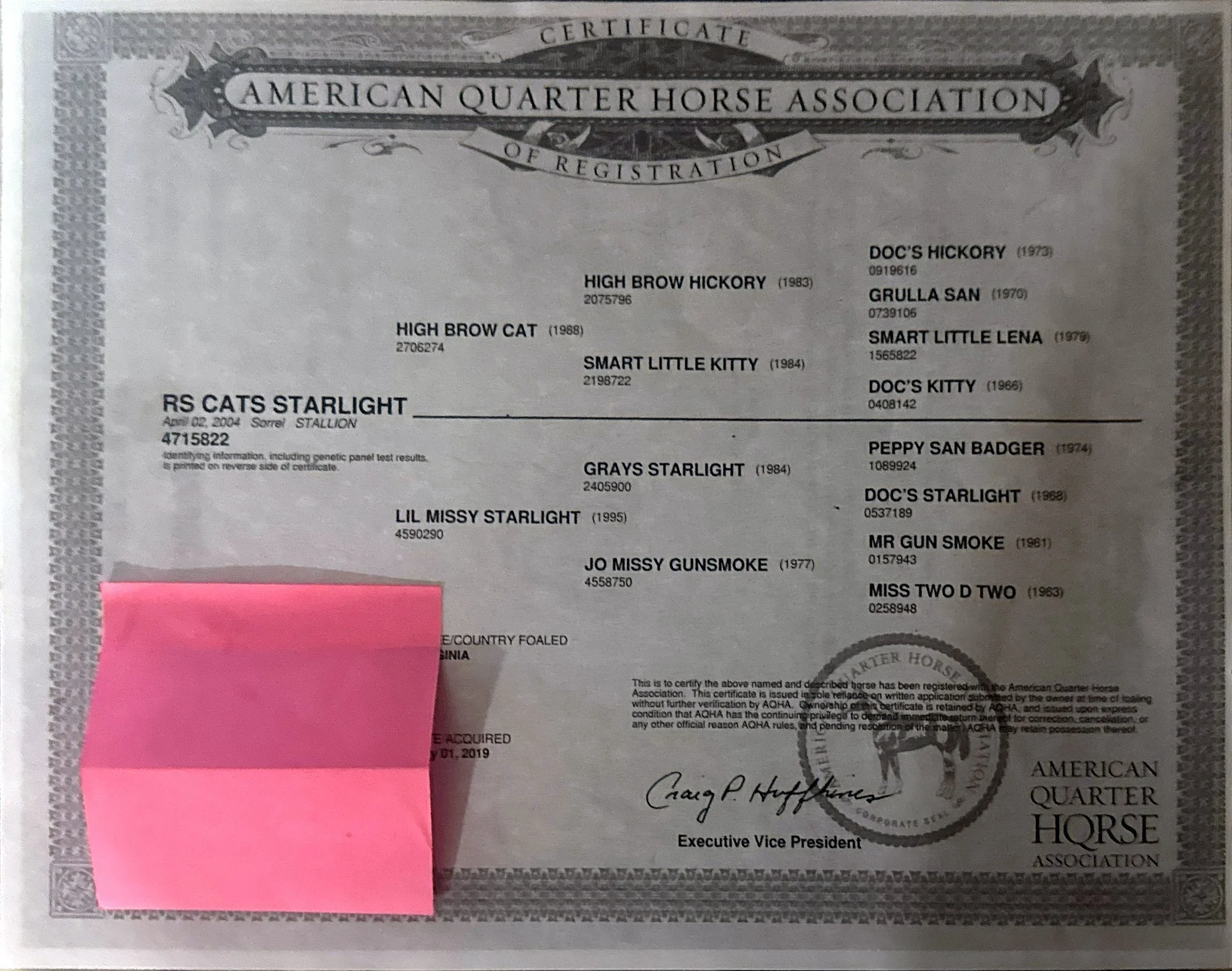 Certification document from the American Quarter Horse Association for a horse named RS Cats Starlight, issued April 2, 2004, with a pink sticky note covering part of the lower left corner.