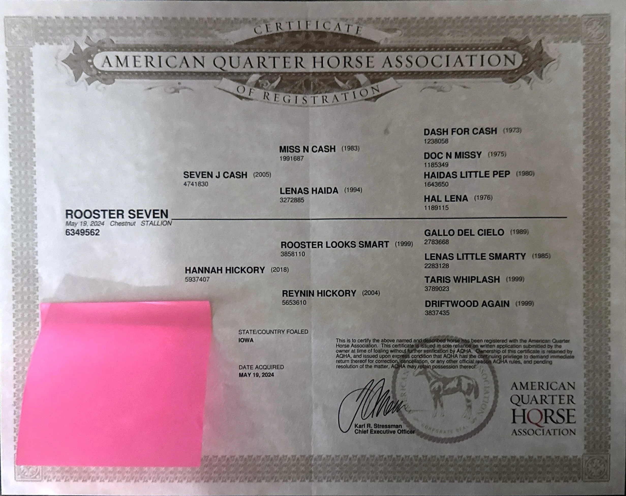 Certification document from the American Quarter Horse Association awarded to Rooster Seven, a Chestnut Stallion born on May 19, 2024, with various lineage details and signatures.