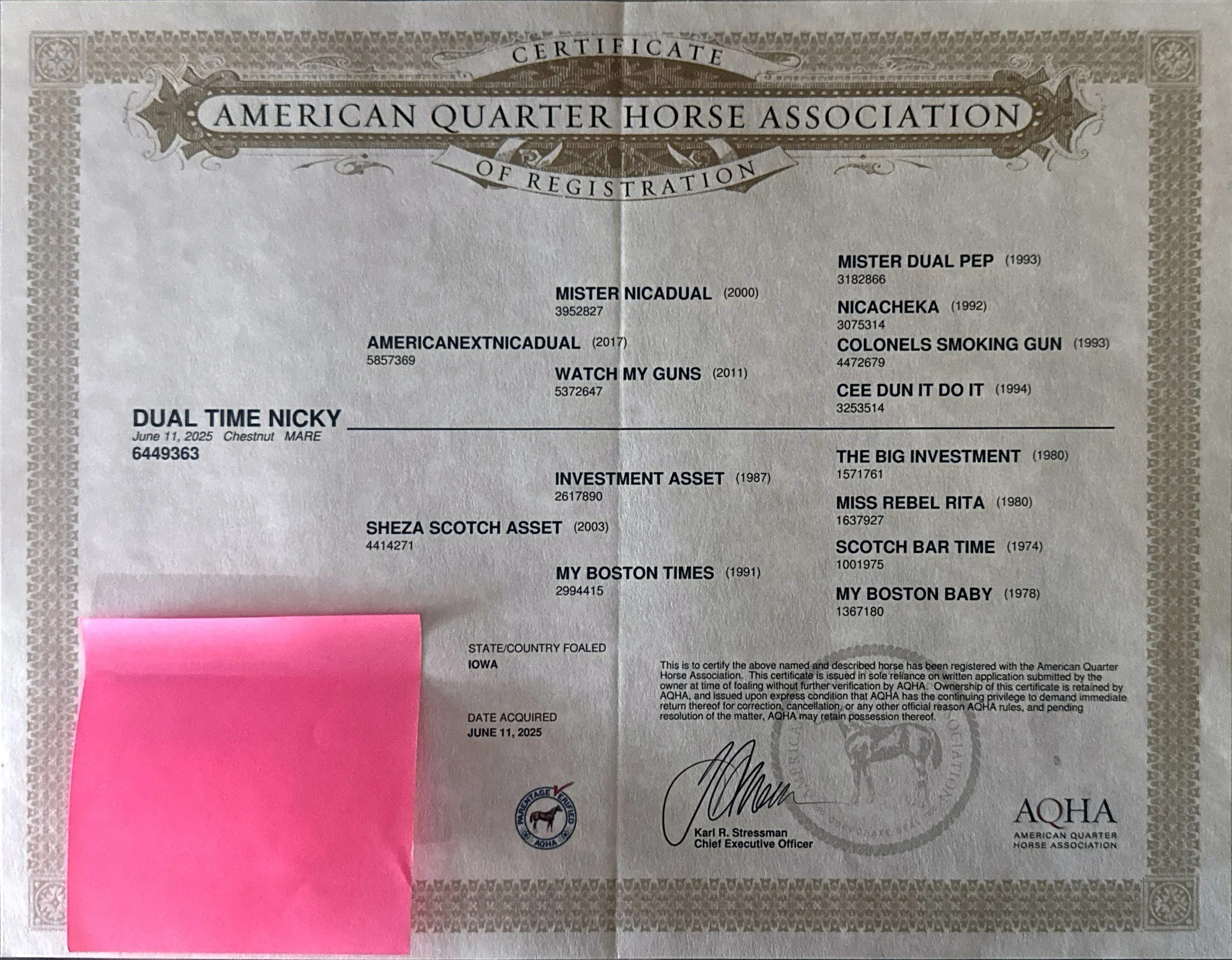 A certificate from the American Quarter Horse Association for a horse named Dual Time Nicky. It includes details such as registration number, date of birth, physical description, and ownership information, with a pink sticky note covering part of the