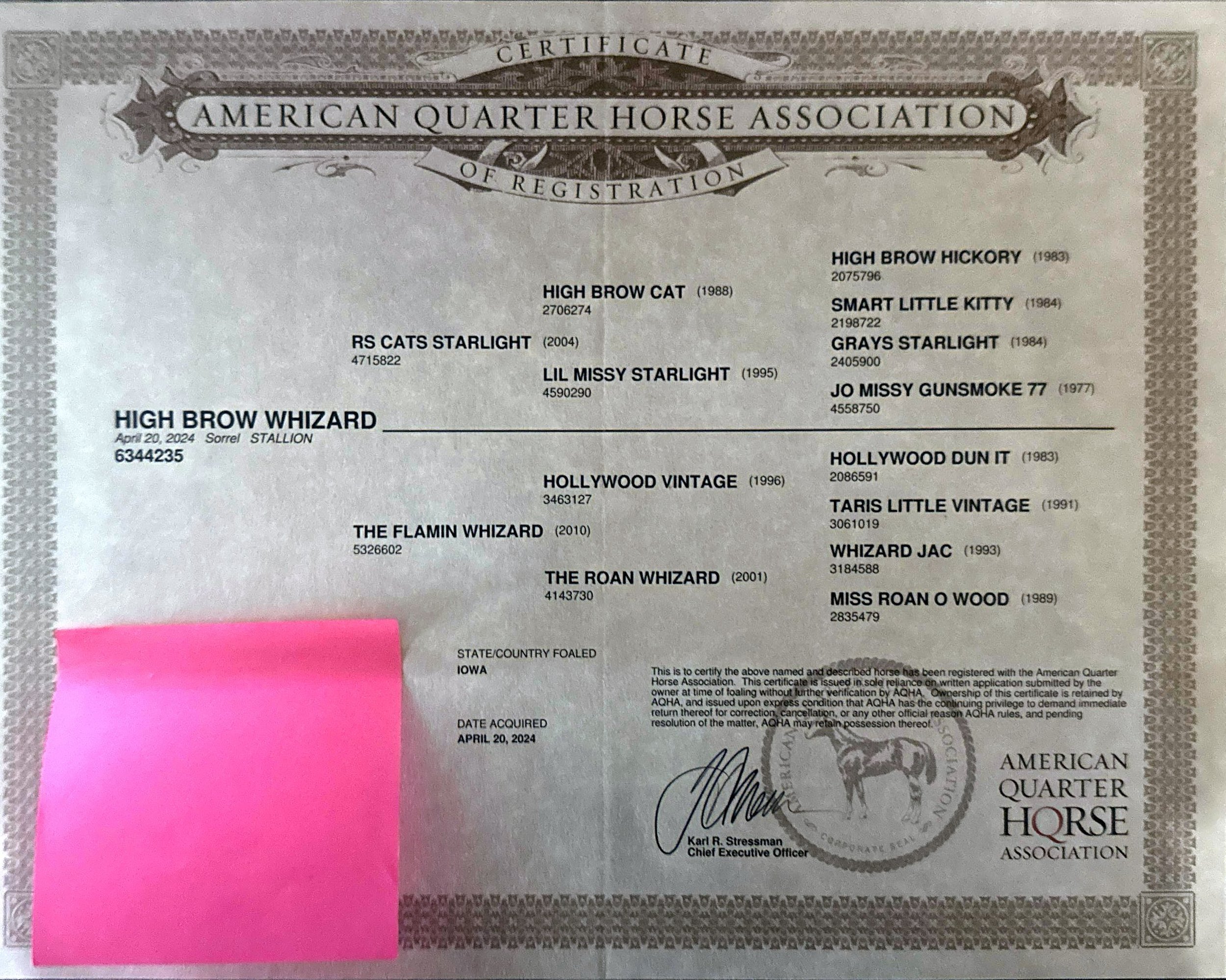 Certificate of registration from the American Quarter Horse Association, issued to High Brow Whizard, a sorrel stallion born in 2010, registered April 20, 2024.