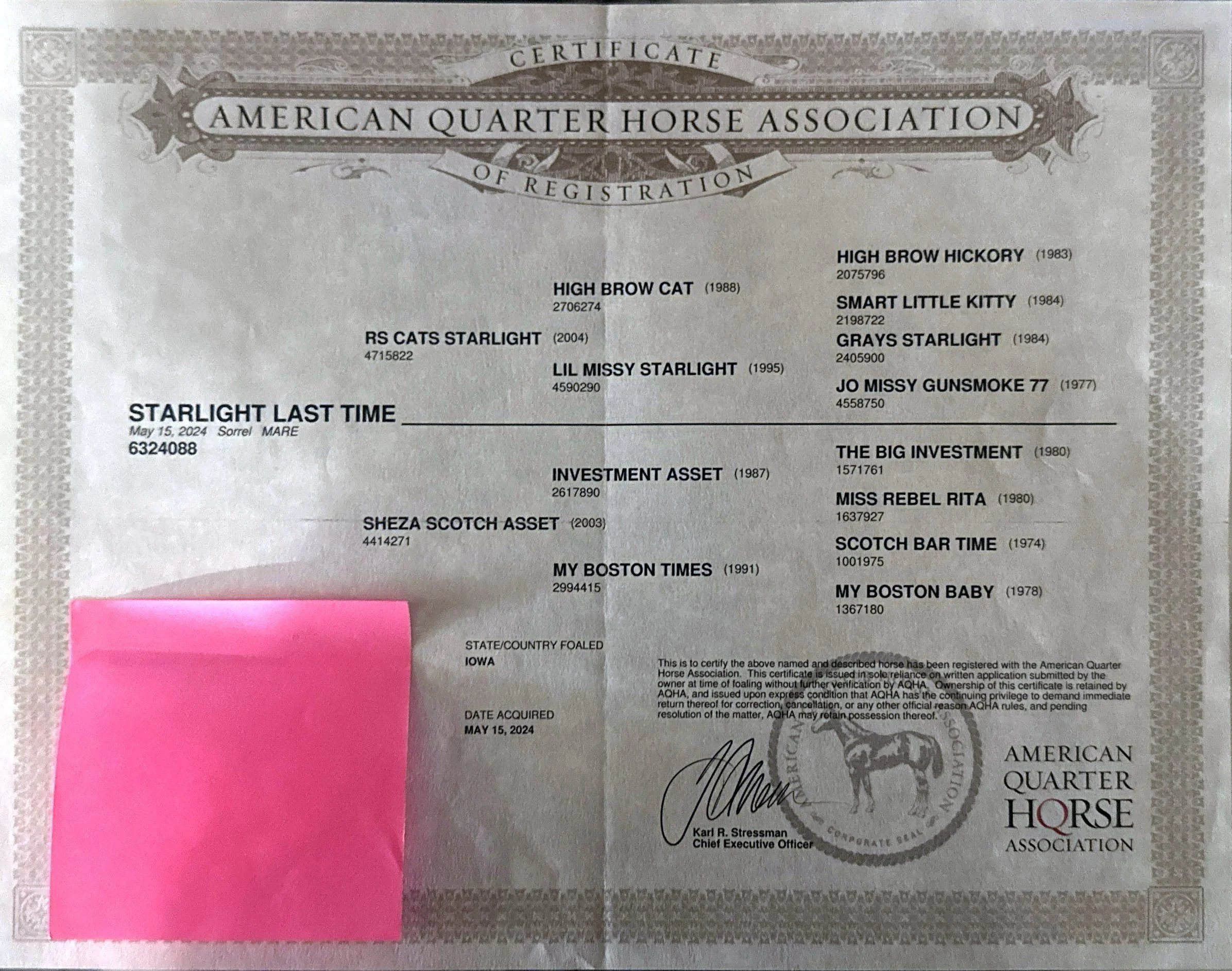 Certificate of registration from the American Quarter Horse Association, with horse lineage details, date of registration, and signature, partially covered by a pink sticky note.