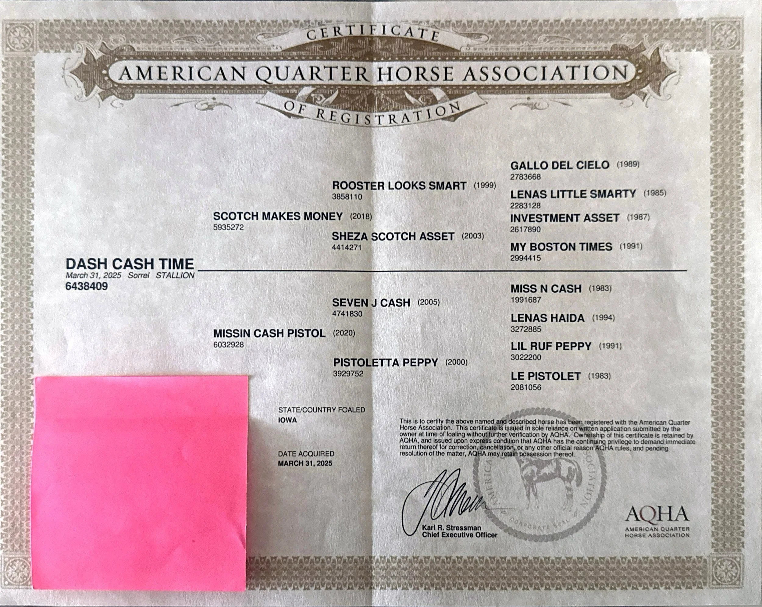 Certificate of registration from the American Quarter Horse Association. It includes horse names, registration numbers, and a signature at the bottom. There is a pink sticky note covering part of the certificate.