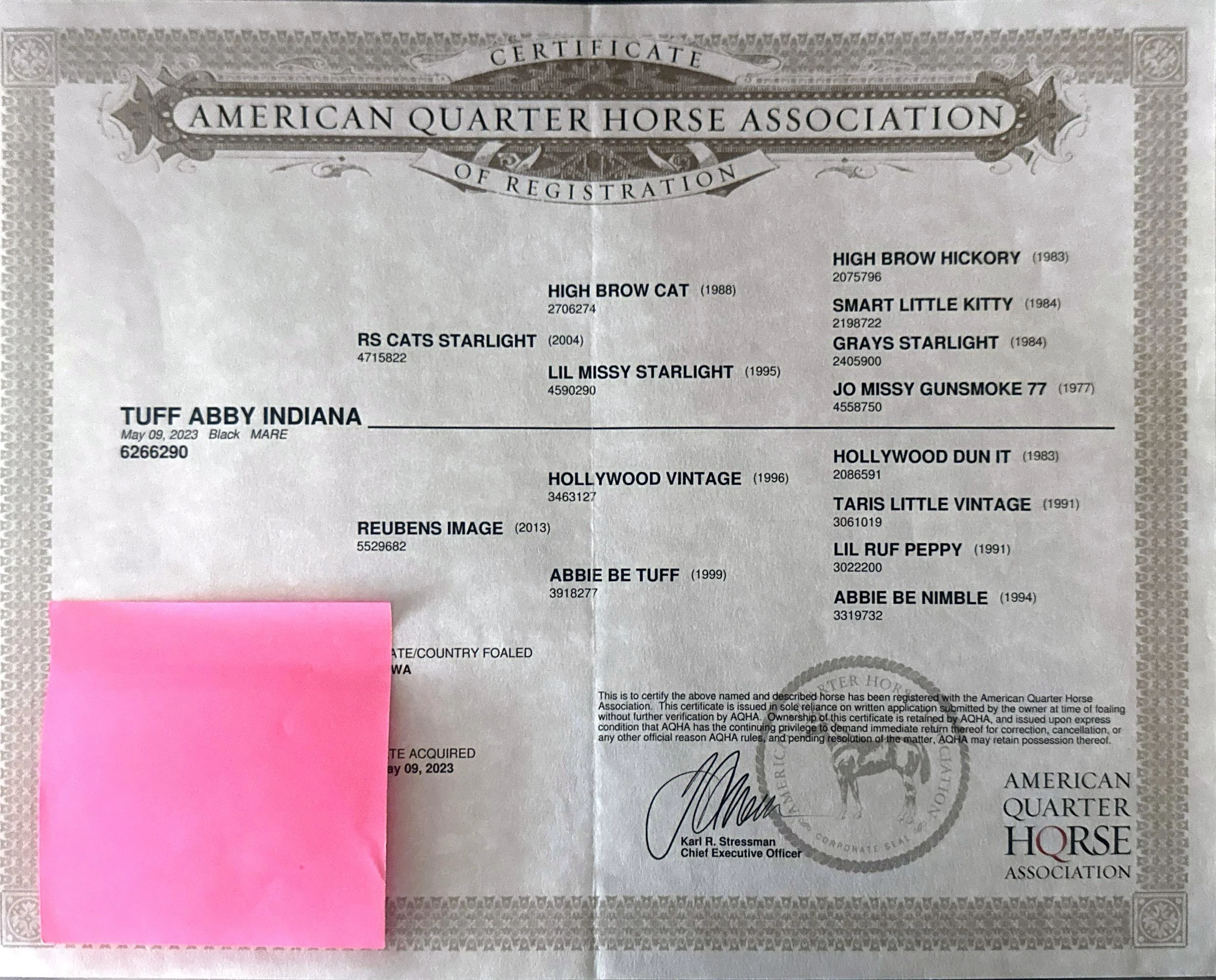 A registration certificate for a horse called Tuff Abby Indiana from the American Quarter Horse Association, issued May 9, 2023, featuring various horse names, dates, and registration numbers, with a pink sticky note covering part of the lower left c