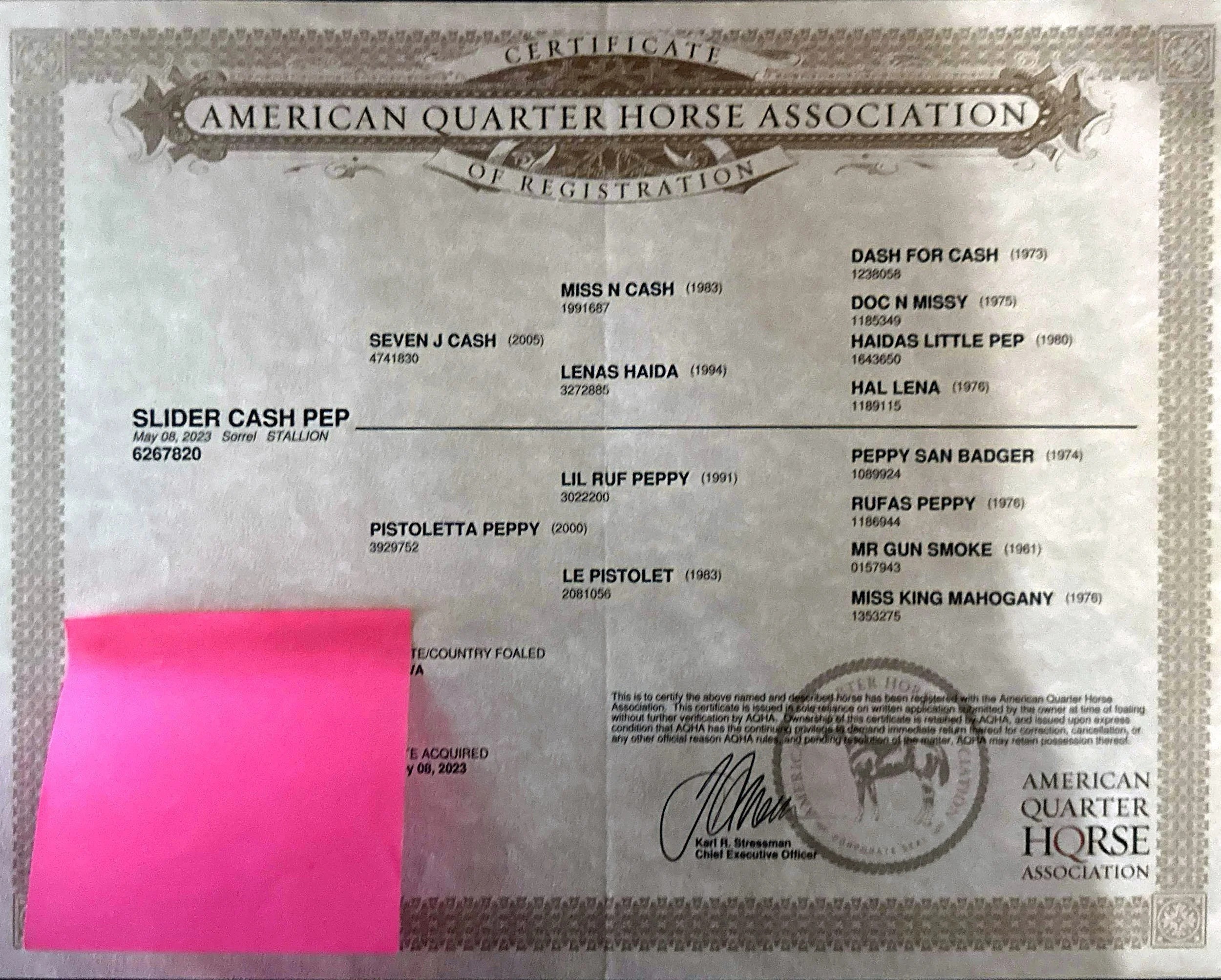 Certificate of registration from the American Quarter Horse Association, listing the horse named Slider Cash Pep and its ancestors, with a pink sticky note covering part of the document.