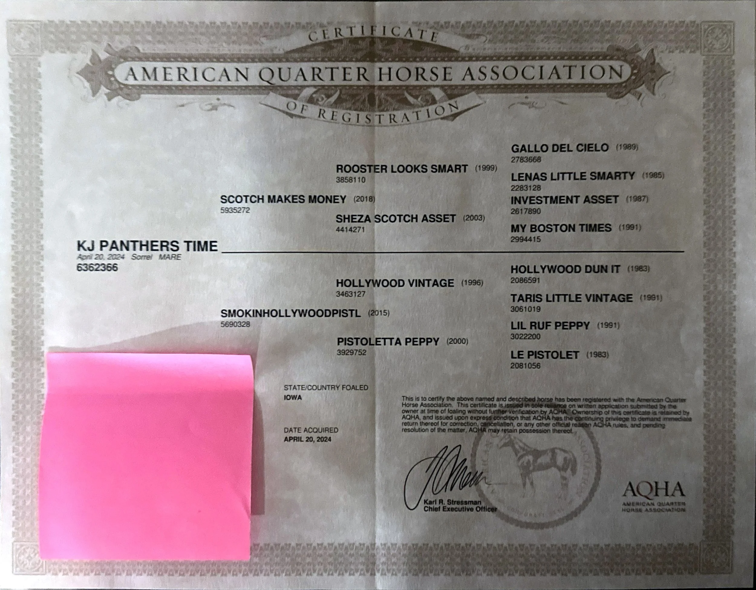 Certificate of registration from the American Quarter Horse Association for a horse named KJ Panthers Time, acquired on April 20, 2024, in Iowa. The certificate includes various details such as the horse's pedigree, date, and official signatures.