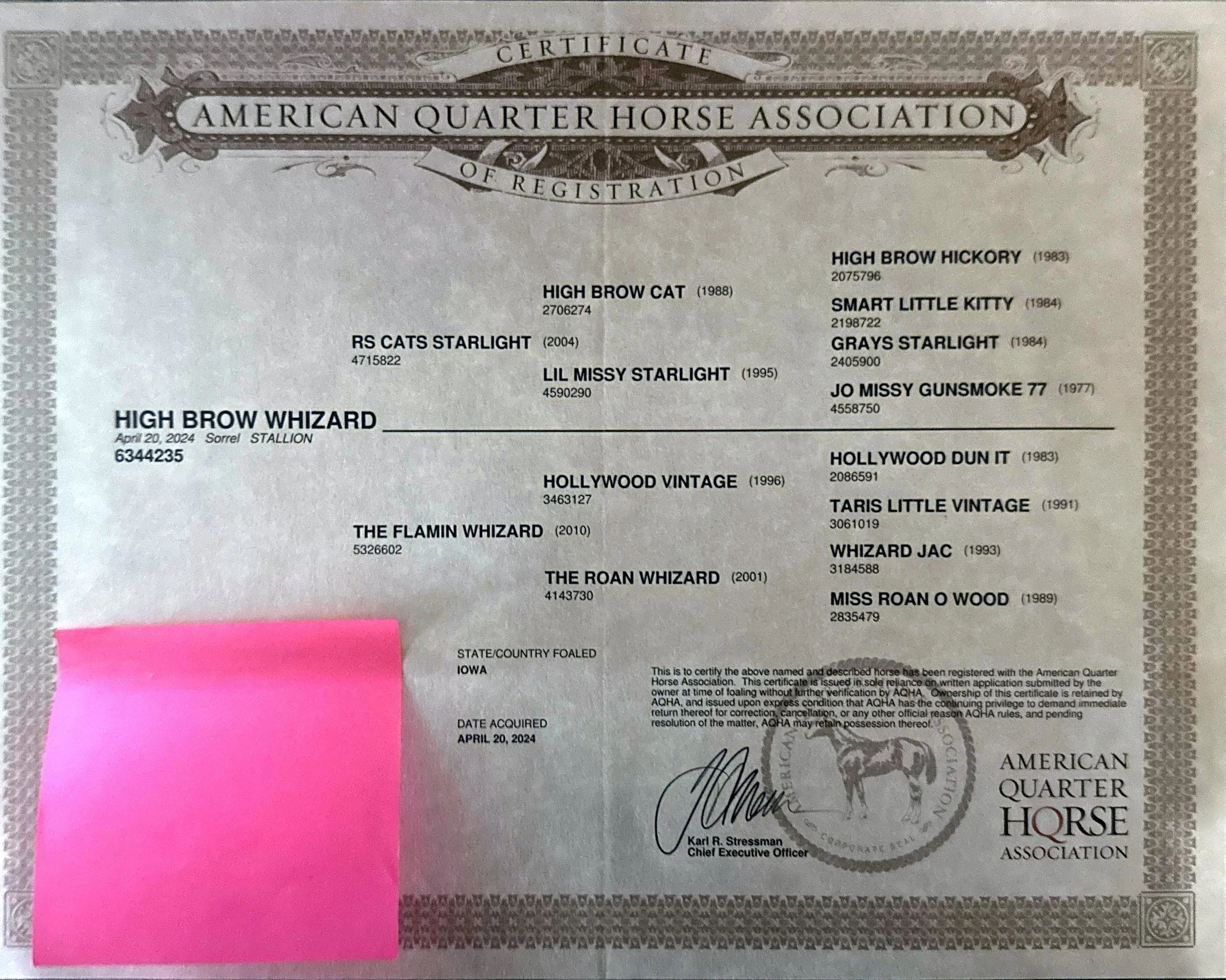 Certificate from the American Quarter Horse Association, issued on April 20, 2024, for a horse named High Brow Whizard, with registration number 6344235, including details of the horse's pedigree, owner, and signature of the chief executive officer.