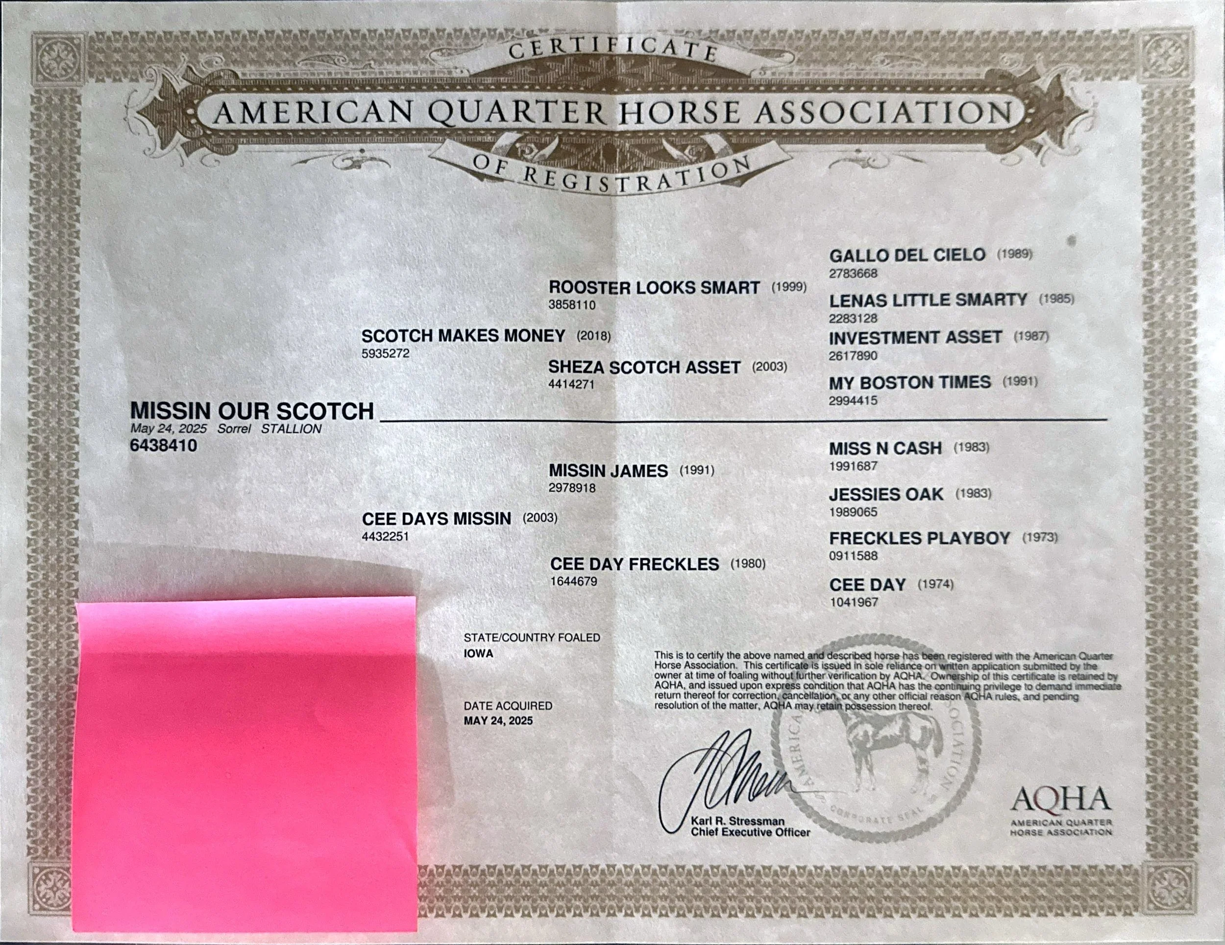 A certification document from the American Quarter Horse Association for a horse named Missin Our Scotch, born May 24, 2025. The certificate includes details such as the horse's registration number, pedigree, ownership, and official signatures, with 