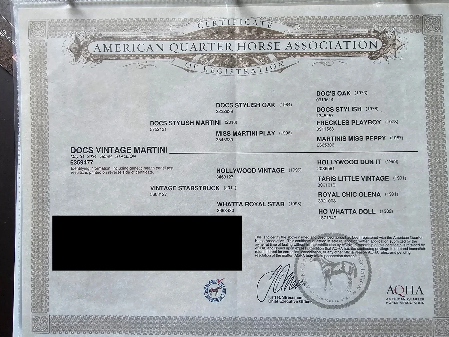 Certificate from the American Quarter Horse Association recognizing a horse named DOCS VINTAGE MARTINI, a sorrel stallion born in 2014. The certificate includes details about the horse's lineage and registration number, with signatures and official s