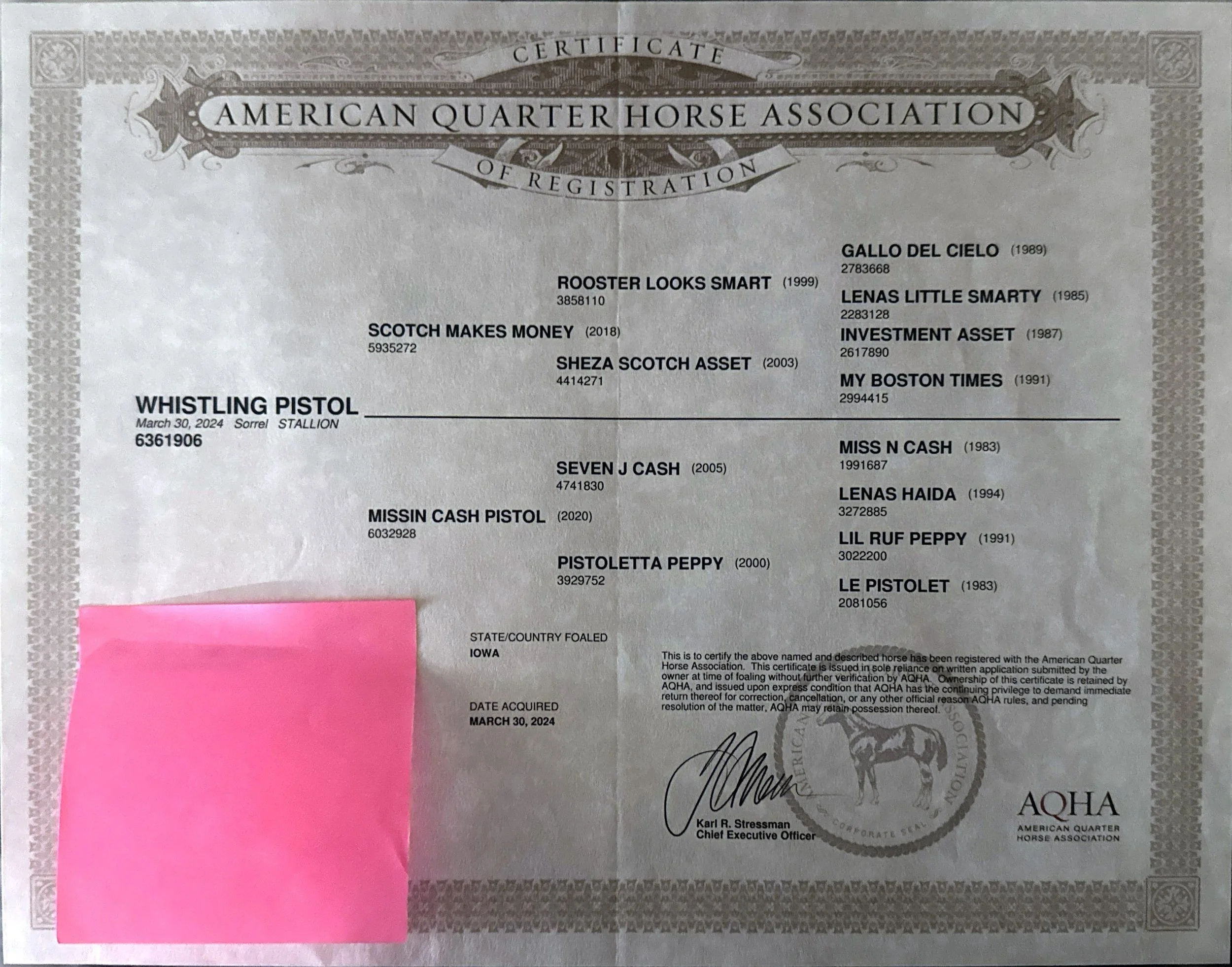 A certificate from the American Quarter Horse Association, certifying a horse named Whistling Pistol, born March 30, 2024 in Sorrel color, with various other horses and their registration numbers listed.
