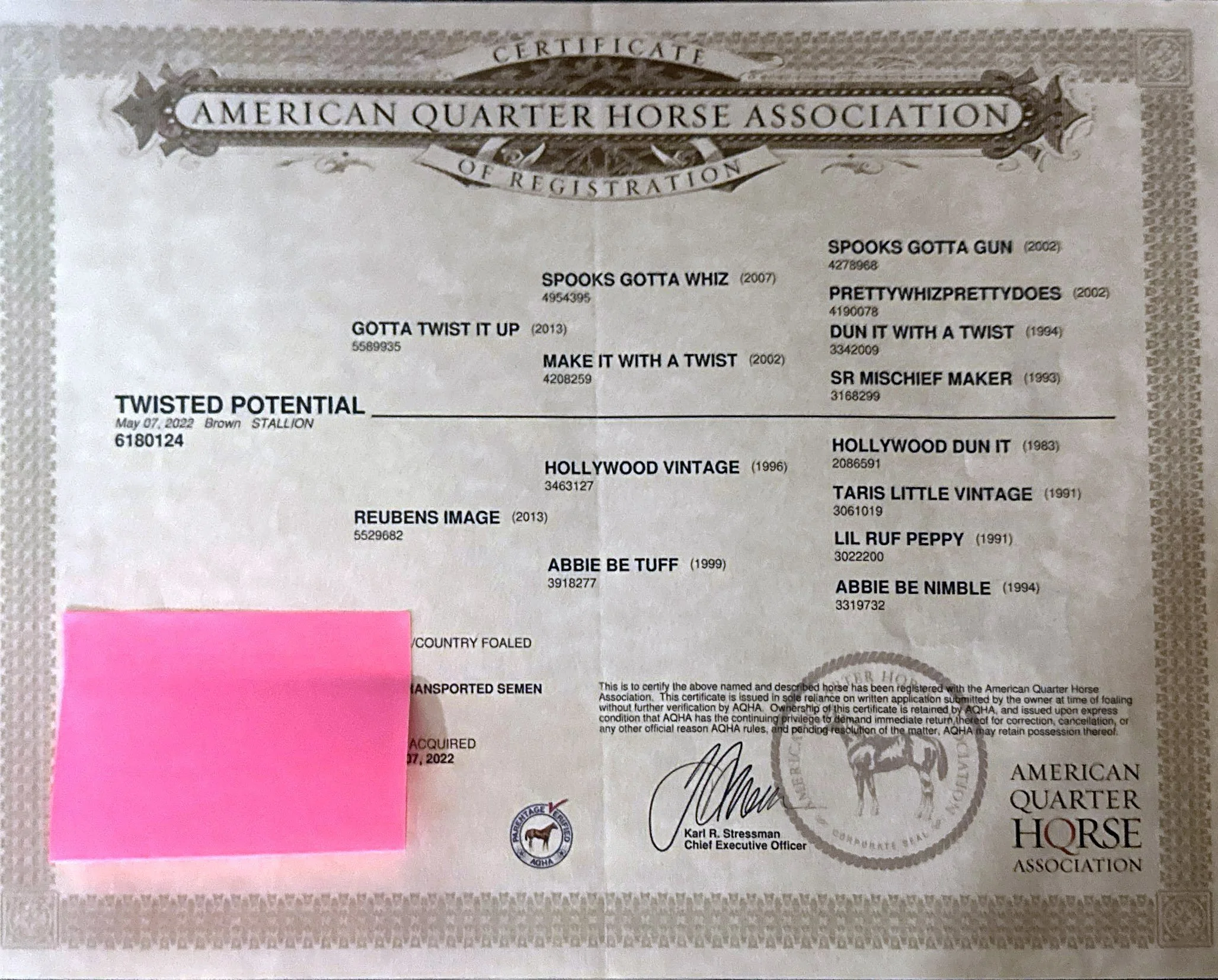 Certificate from the American Quarter Horse Association with details about a horse named Twisted Potential, a brown stallion born on May 7, 2022. The certificate includes various horse names, registration numbers, and signatures, with some parts cove