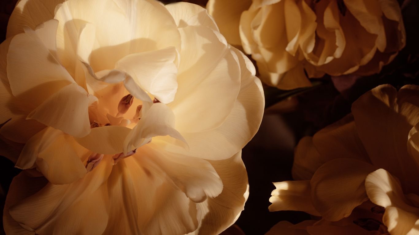 Guiding You through the Celestial Maze of Life