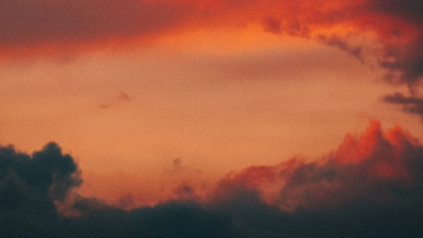 Guiding You through the Celestial Maze of Life