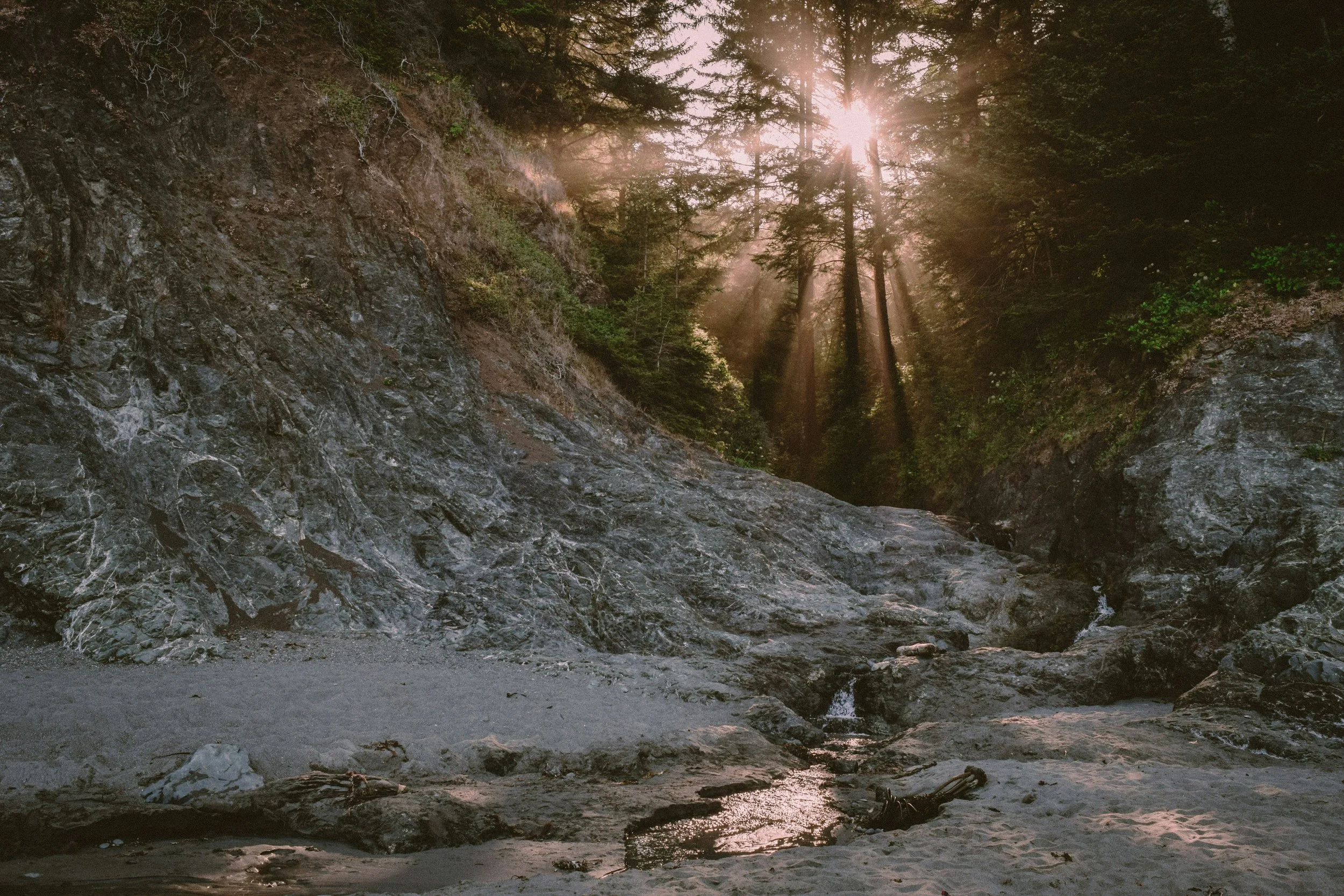 Sunlight filtering through tall trees in a forest, illuminating a rocky area and a small stream.
