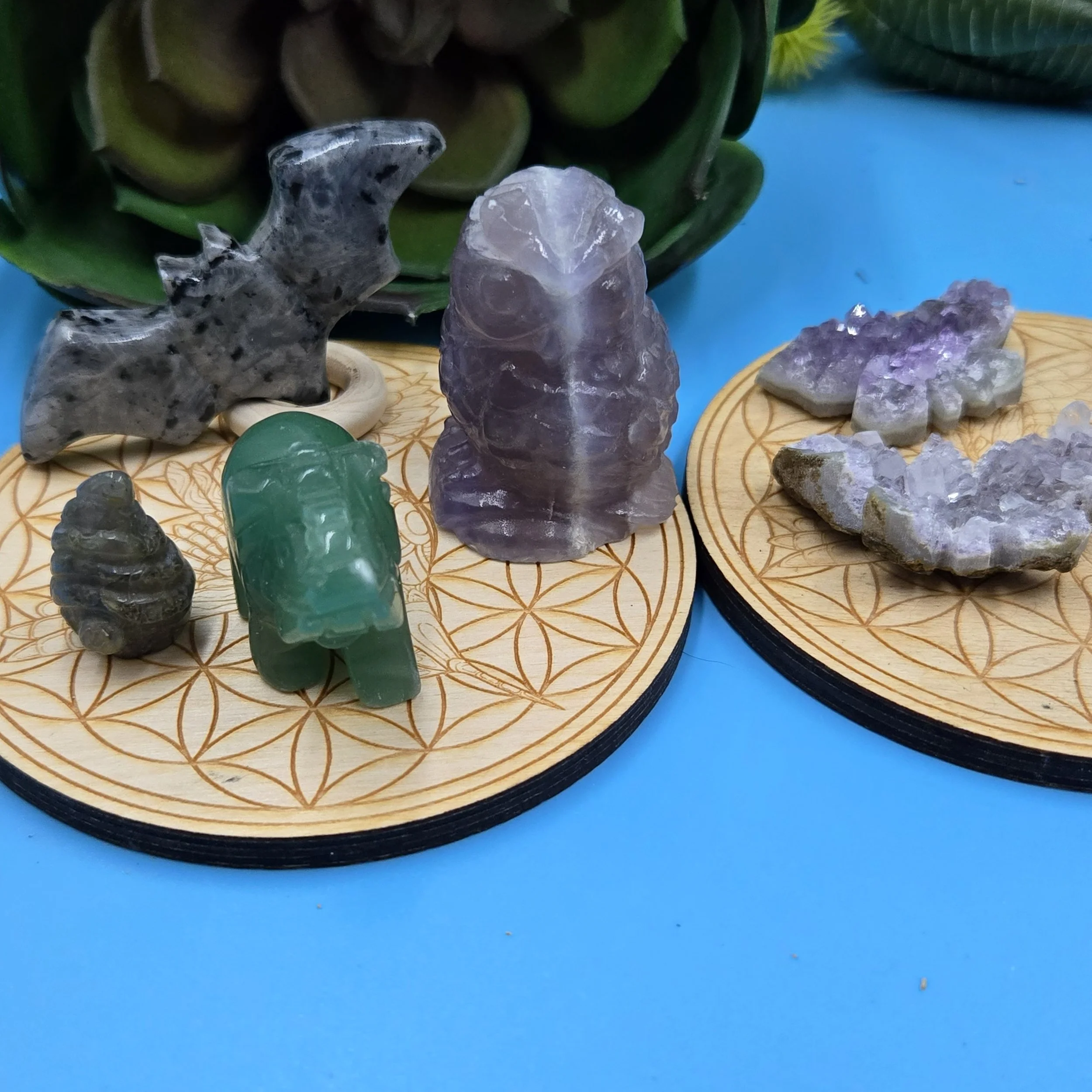 20260102_230710 edit.jpg