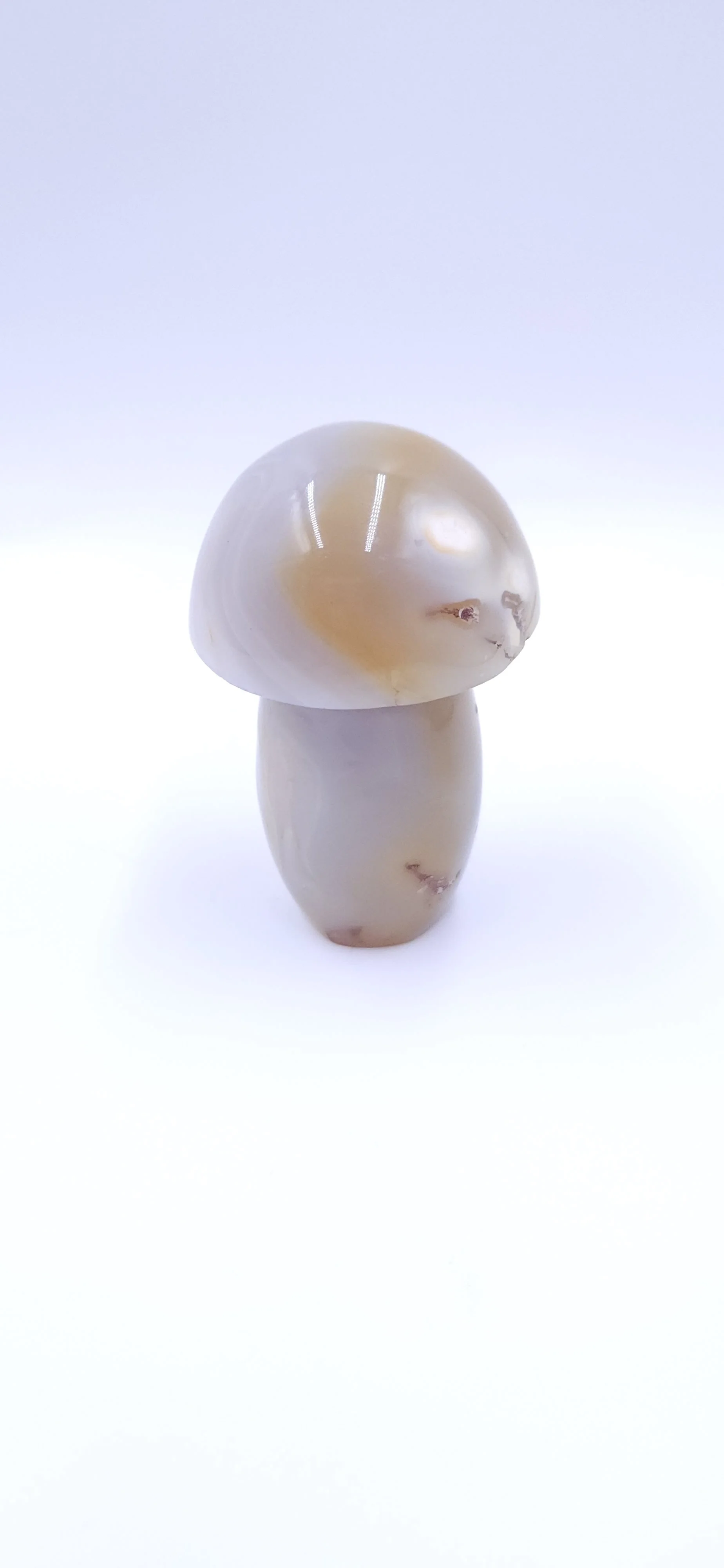 Agate Mushroom