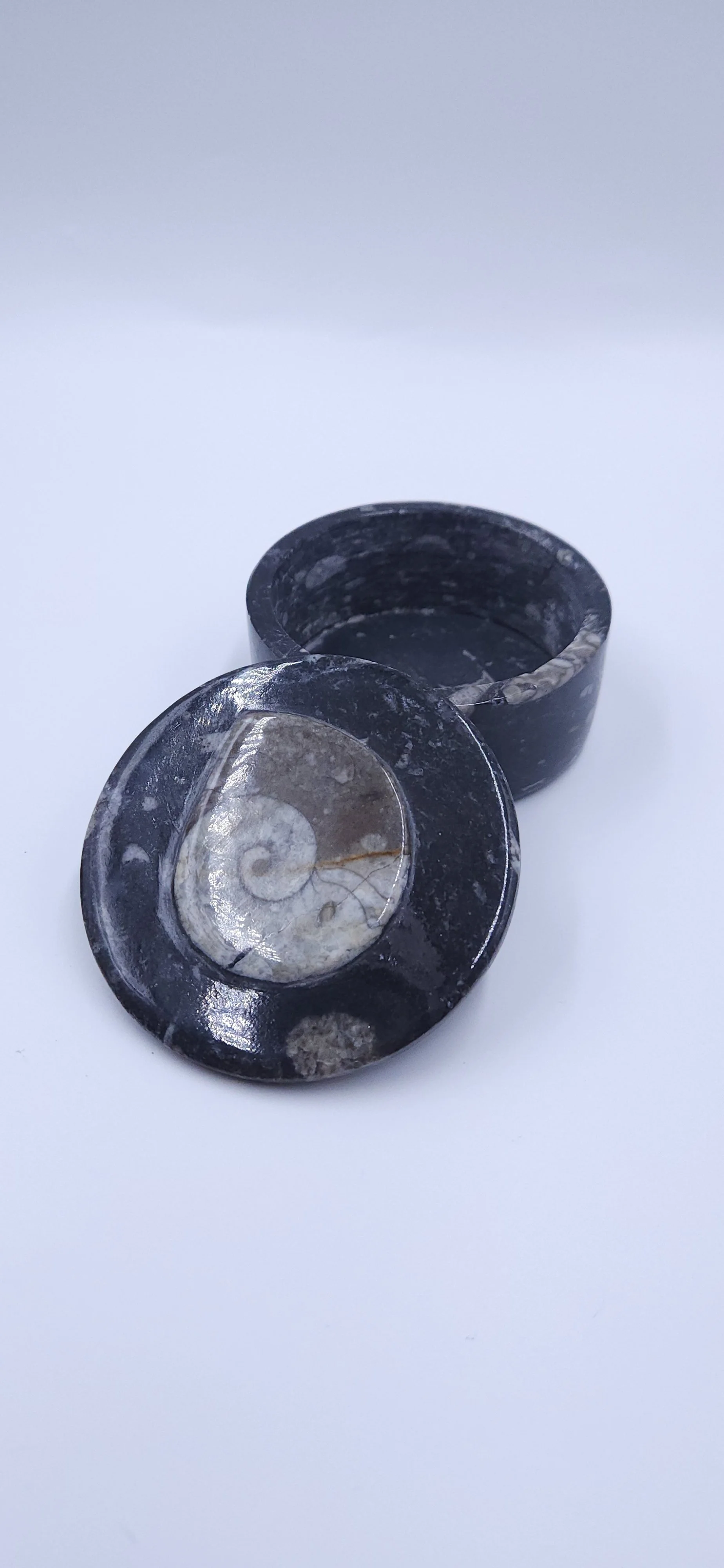 Ammonite Bowls