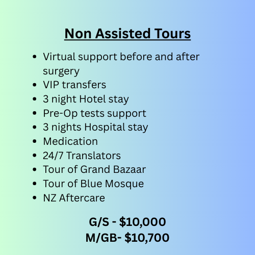 A list of non-assisted tour services including virtual support, VIP transfers, hotel stay, pre-op tests, hospital stay, medication, translators, and tours of a bazaar and mosque, with pricing information.