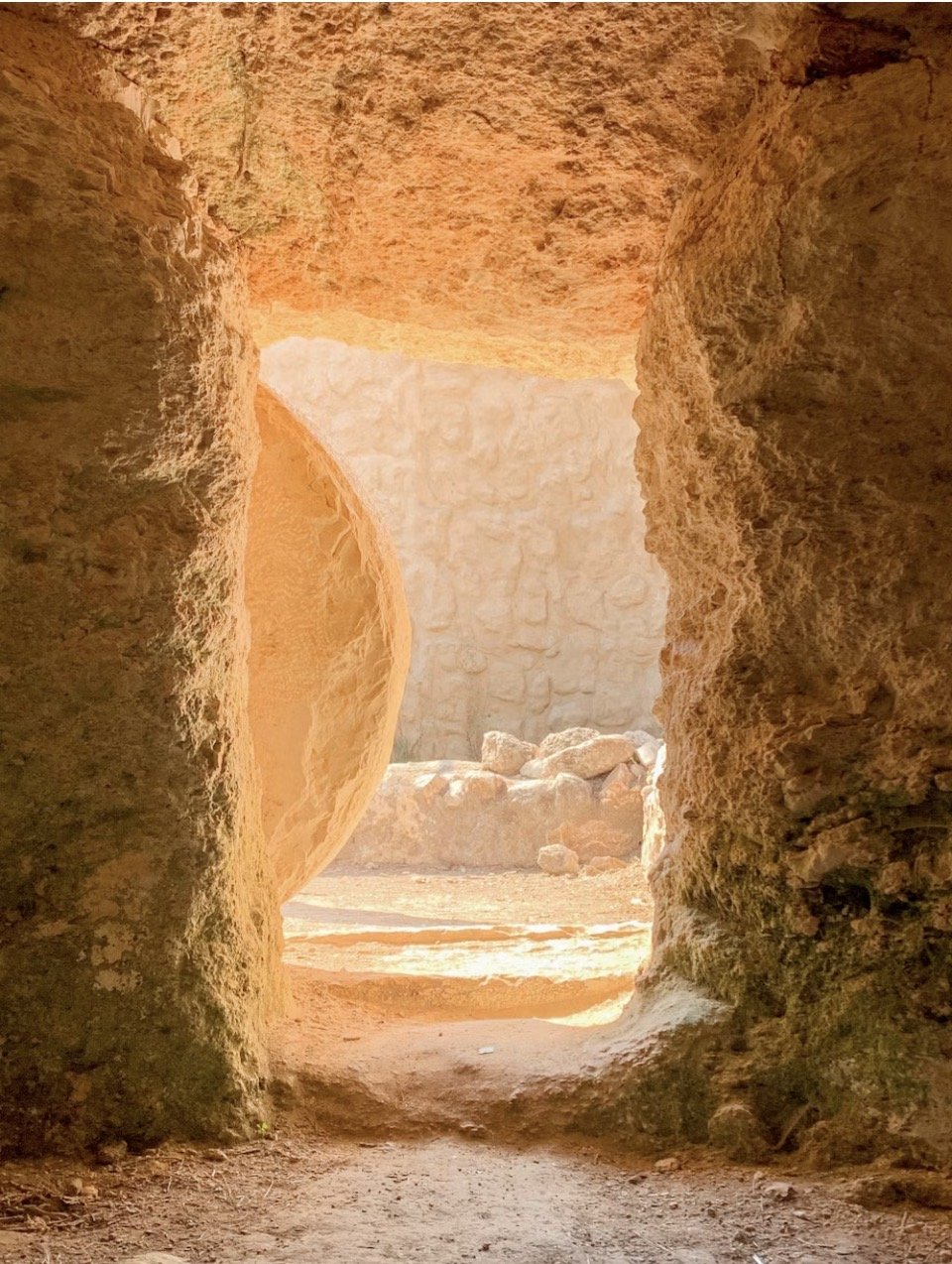 Thresholds and Portals: The Courage to Meet What is Becoming