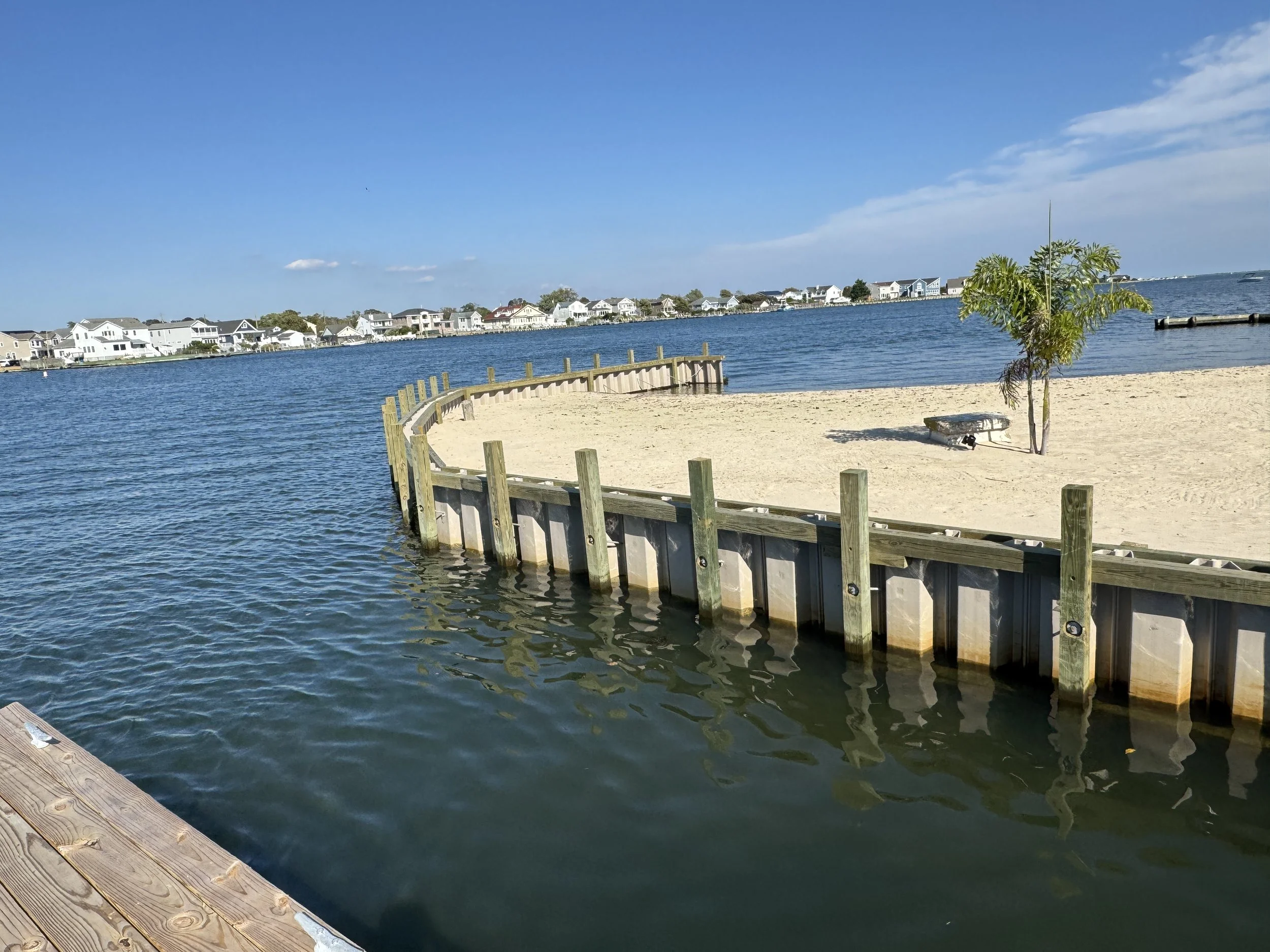 A peaceful beach with a sandy shore, a small palm tree, and a boat, borderd by a wooden and metal railing, overlooking calm blue water, with a row of houses in the distance under a partly cloudy sky.