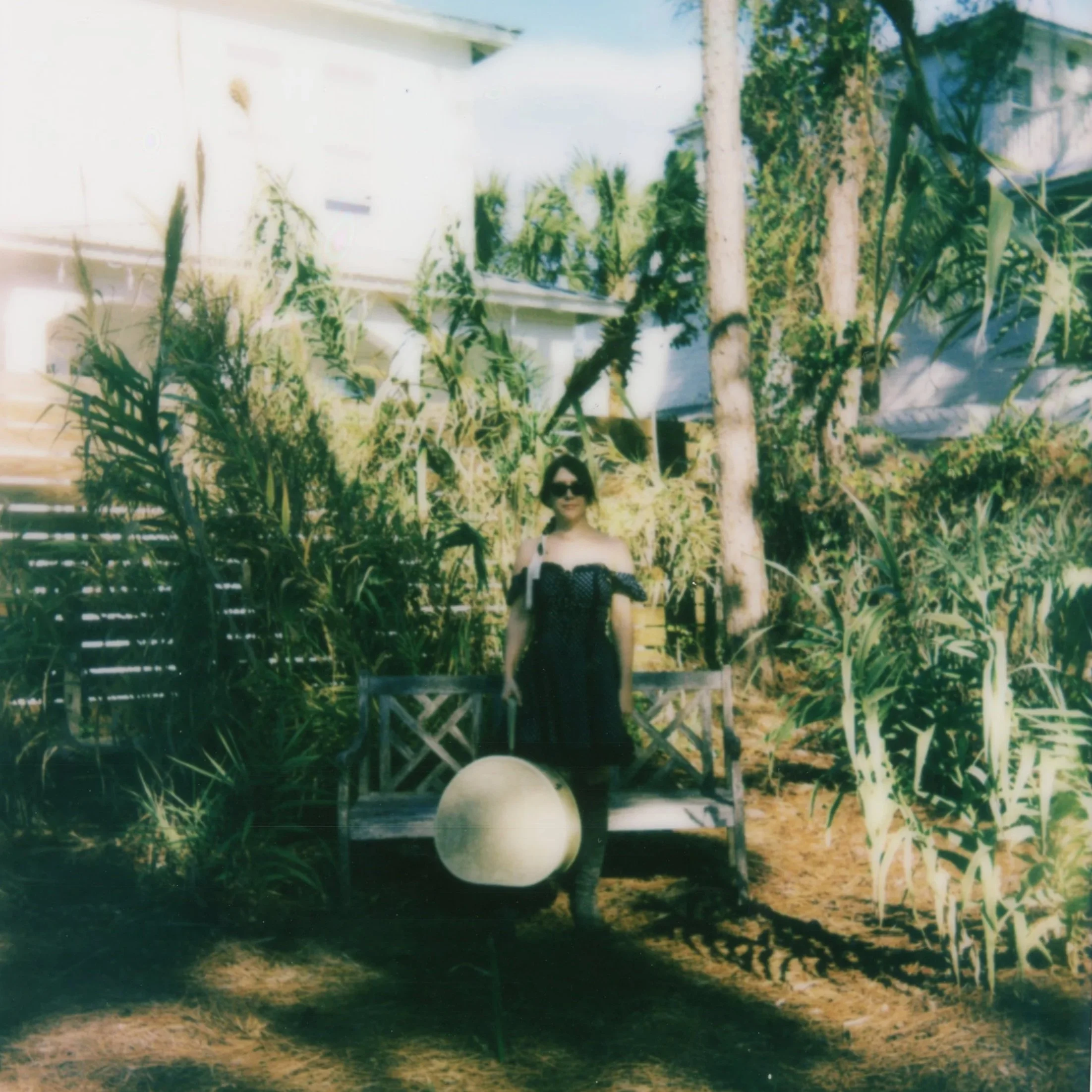 "Give it time" | Polaroid