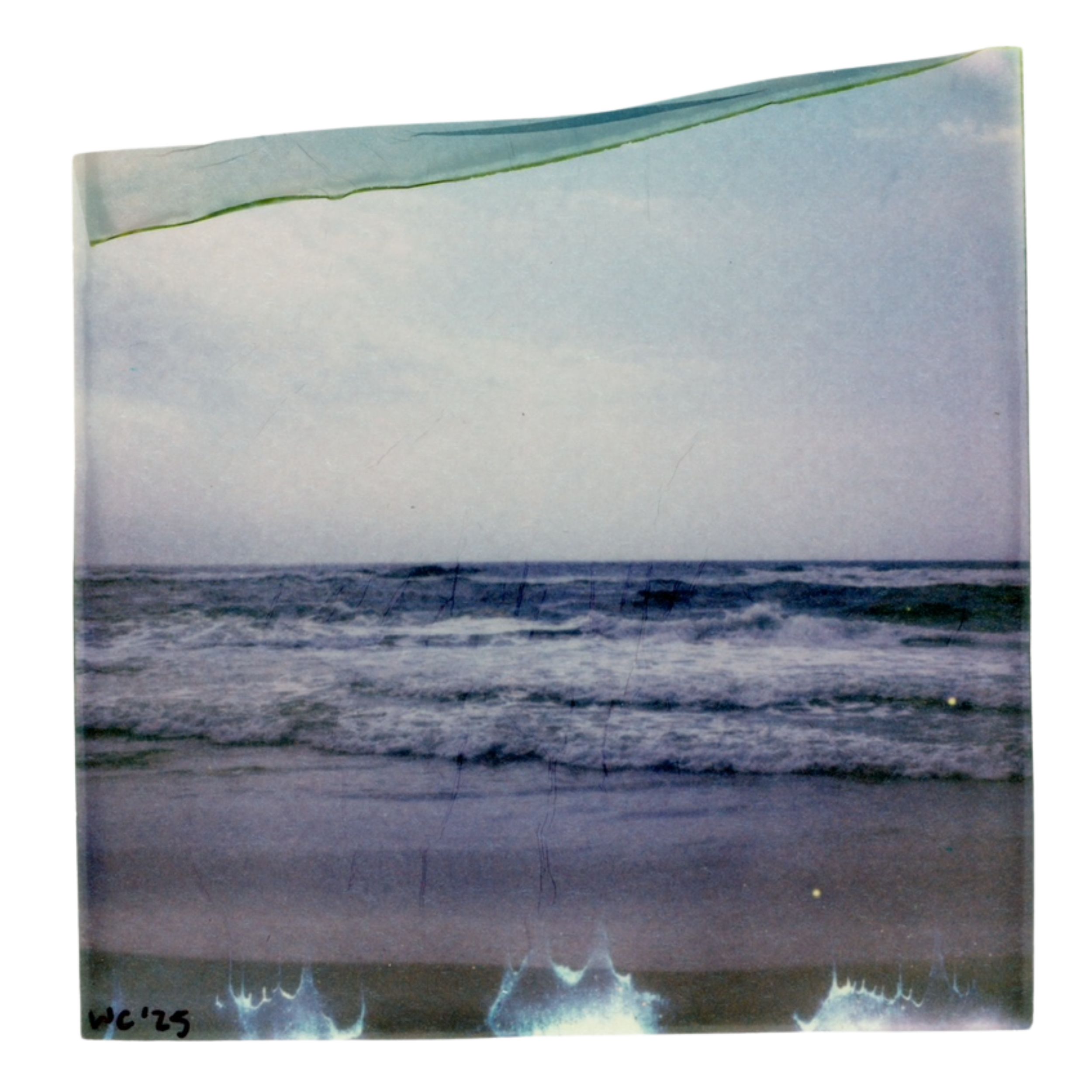 @whitleycally (Card (Square))-4.png
