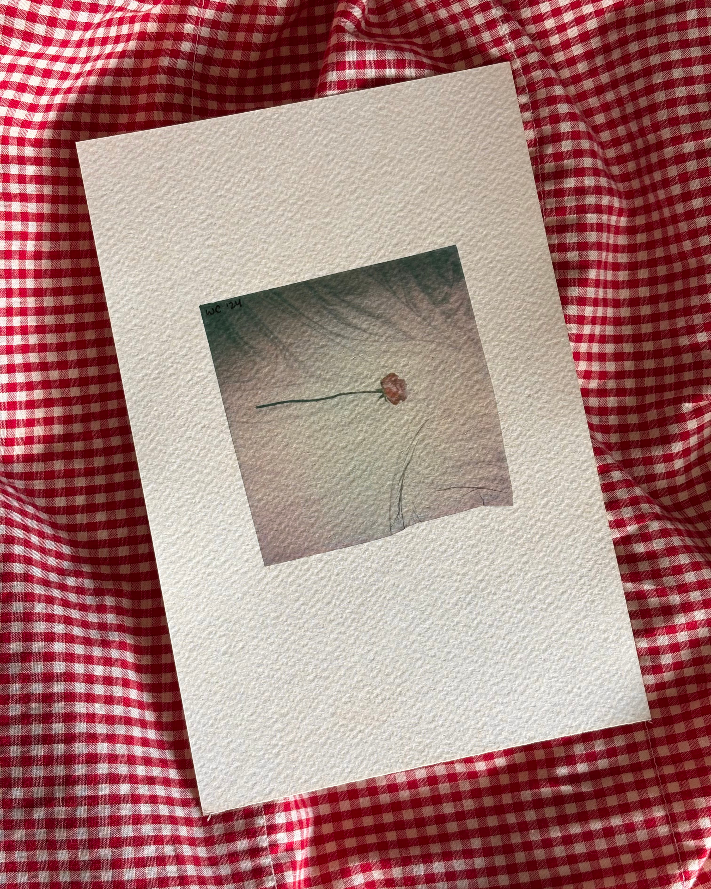 Whitley Cally ‘25.png