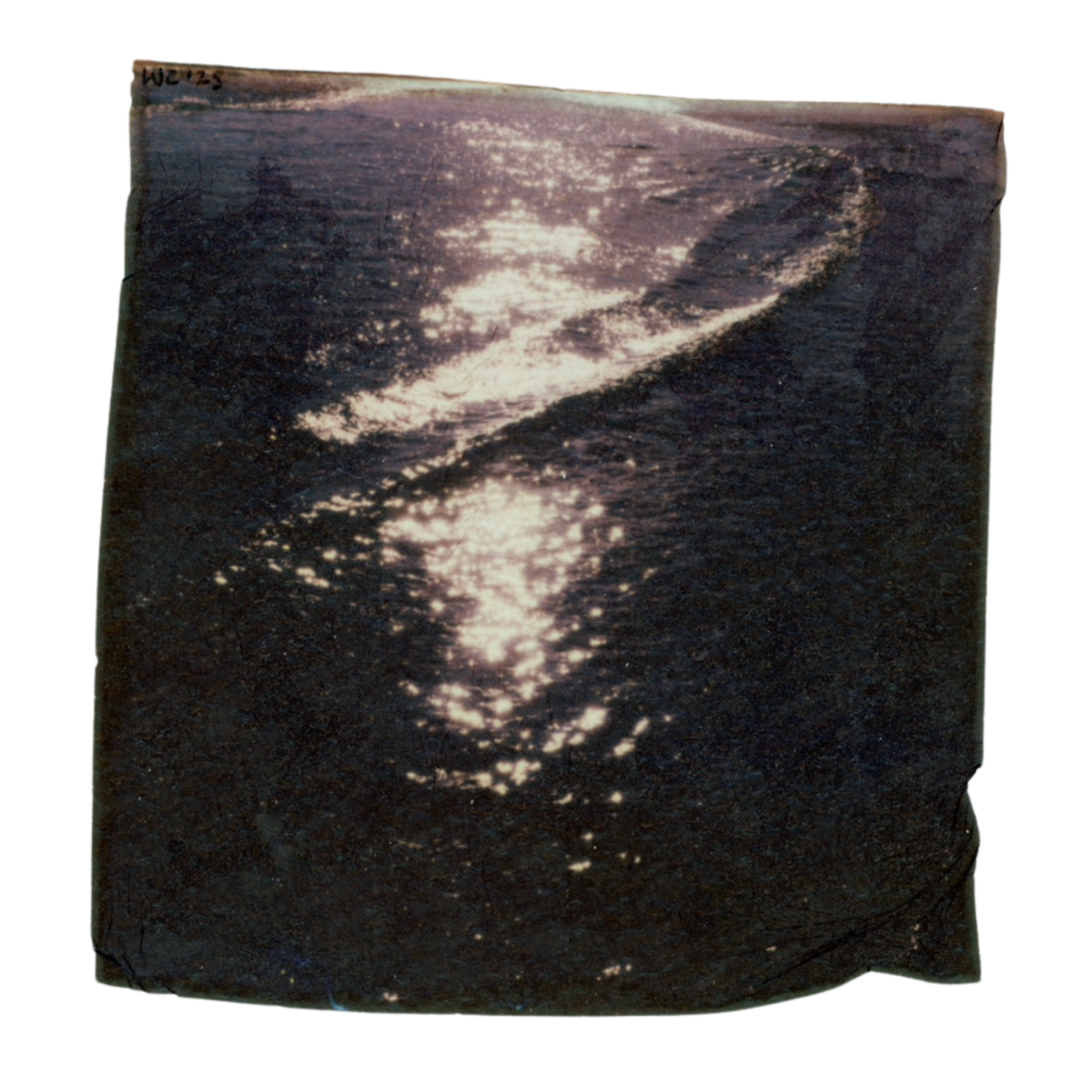 @whitleycally (Card (Square))-2.png