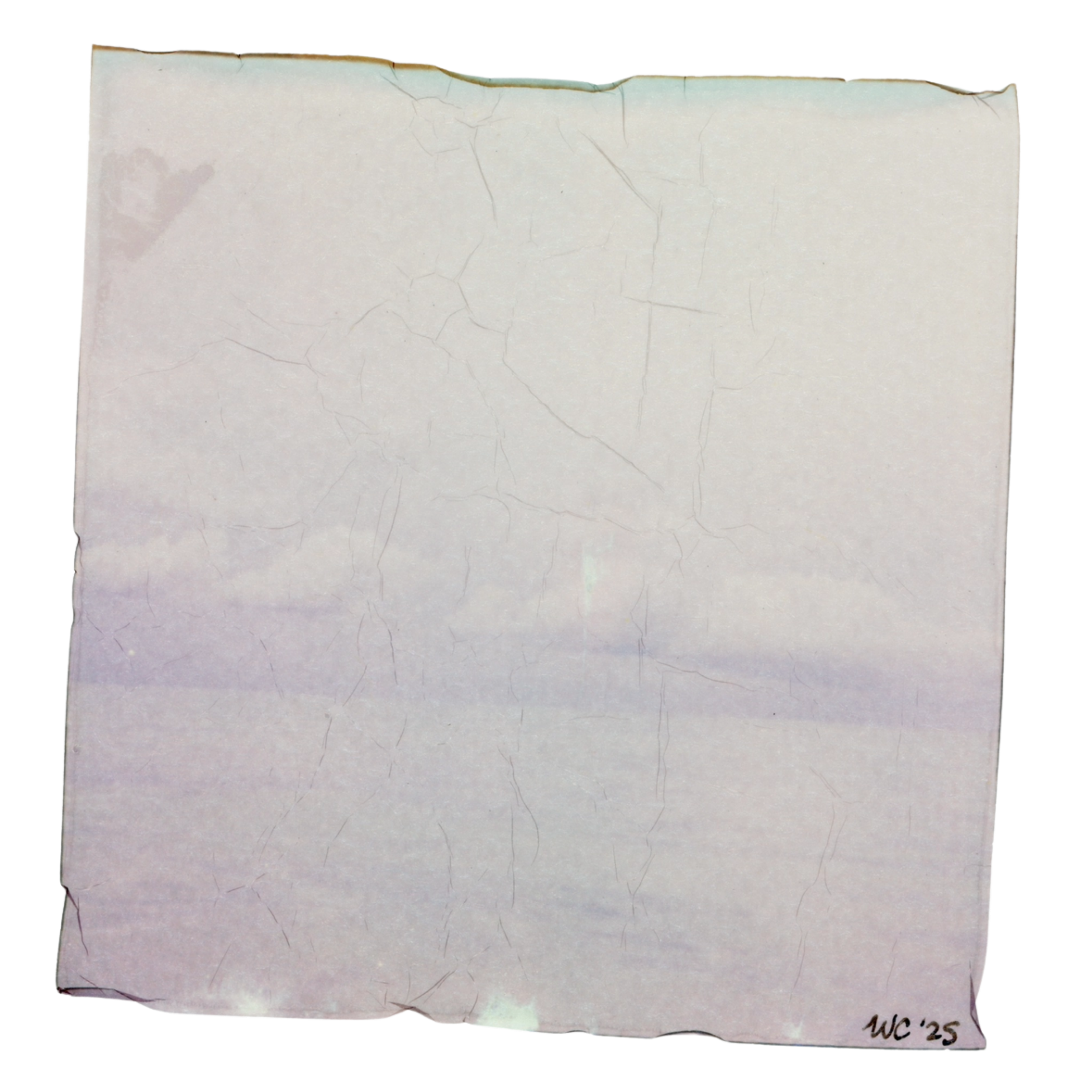 @whitleycally (Card (Square)).png