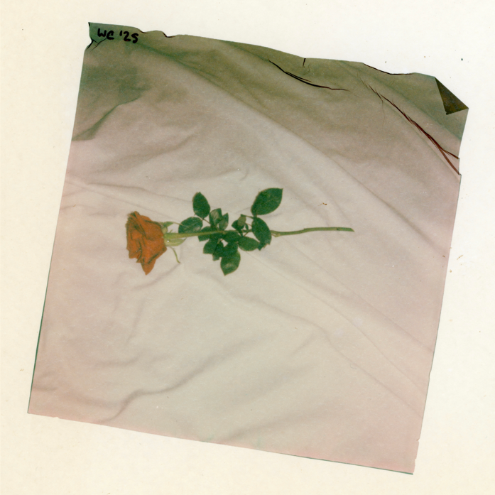 "Don't wake me, I plan on sleeping in..."
| Polaroid emulsion on tea-stained watercolor paper