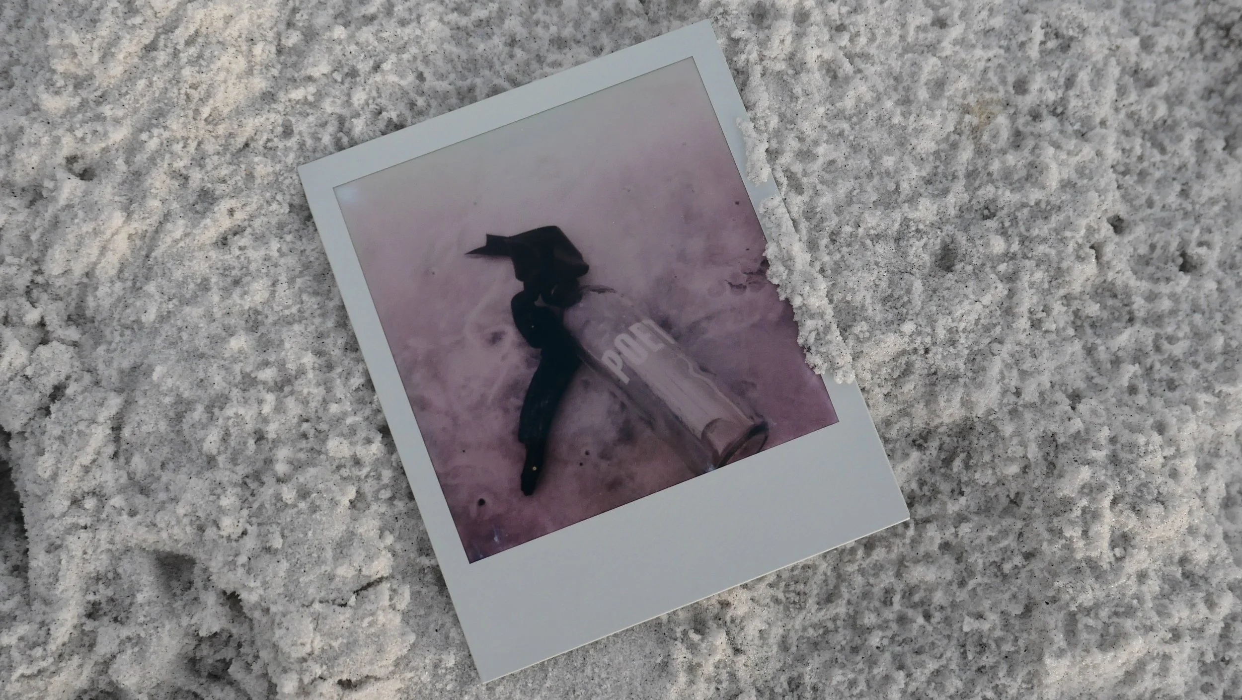 "Lost Poet" | Polaroid